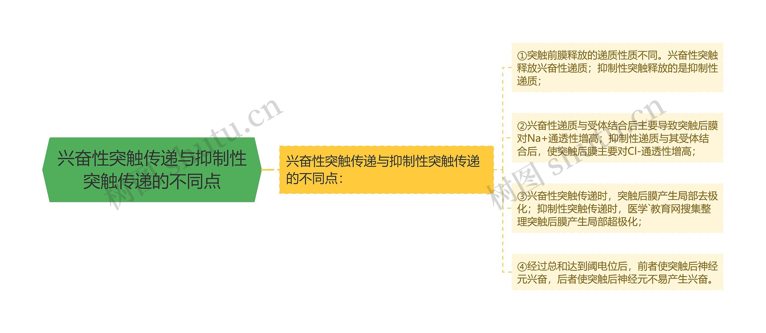 兴奋性突触传递与抑制性突触传递的不同点思维导图