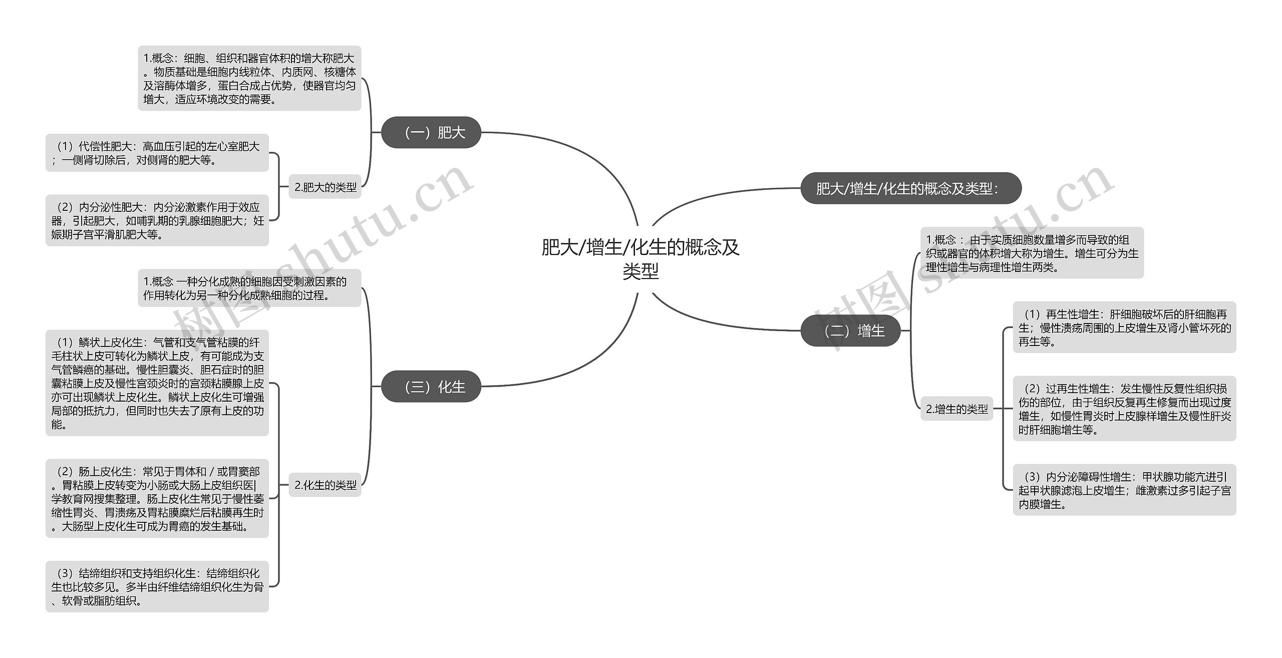 肥大/增生/化生的概念及类型