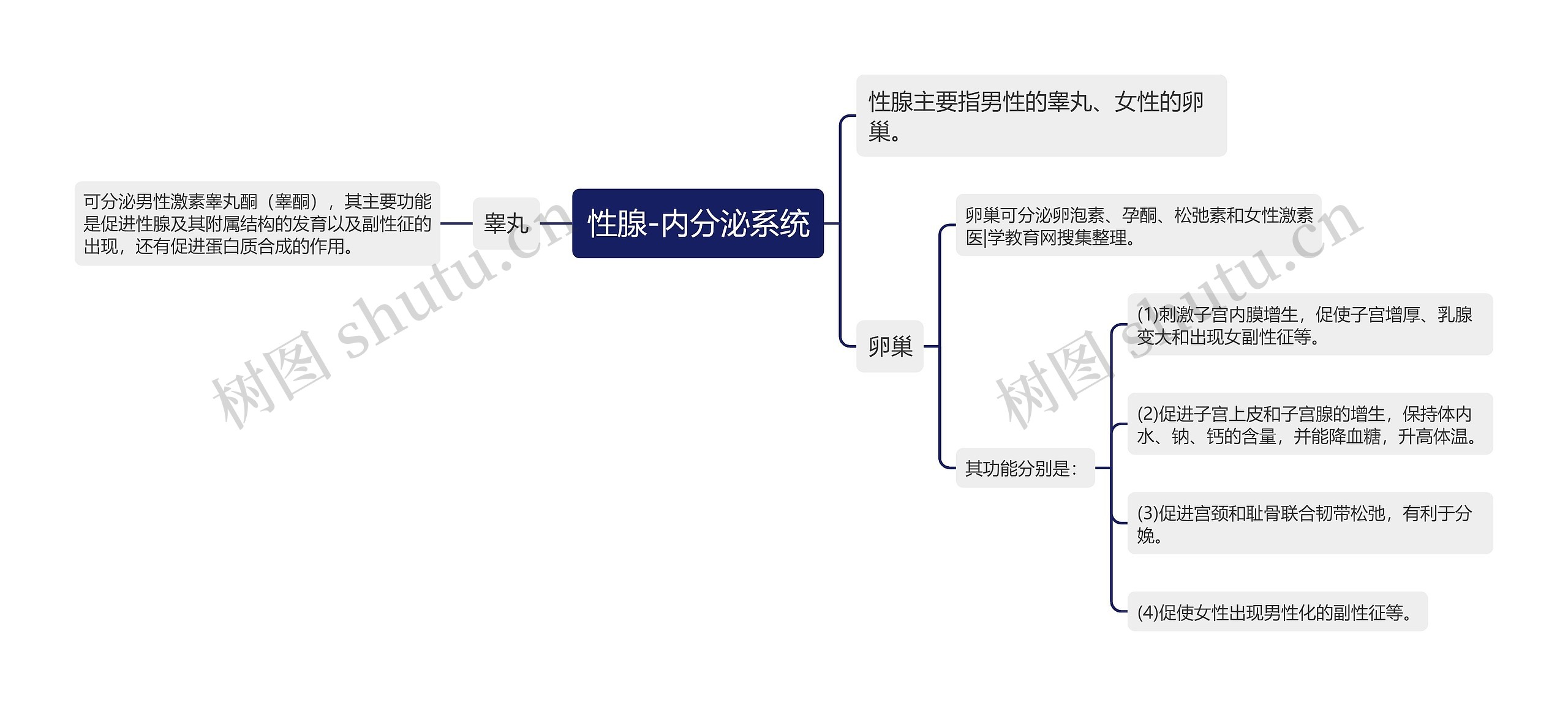 性腺-内分泌系统思维导图