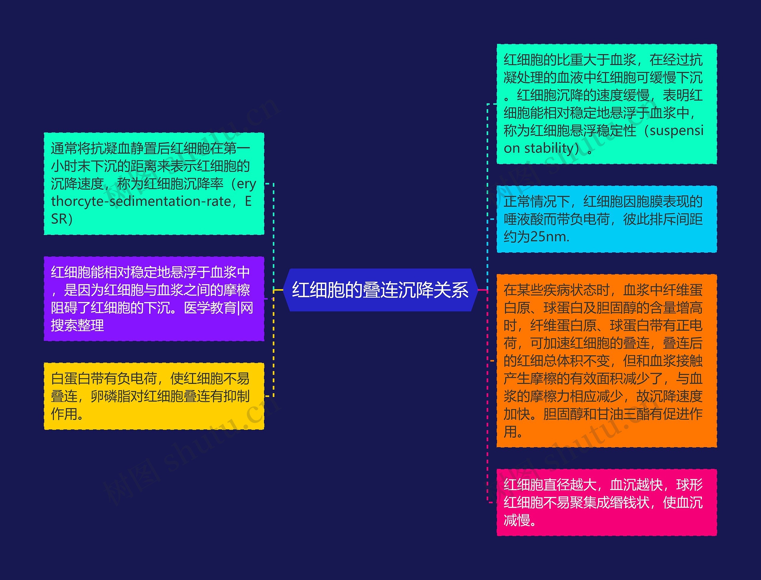 红细胞的叠连沉降关系思维导图