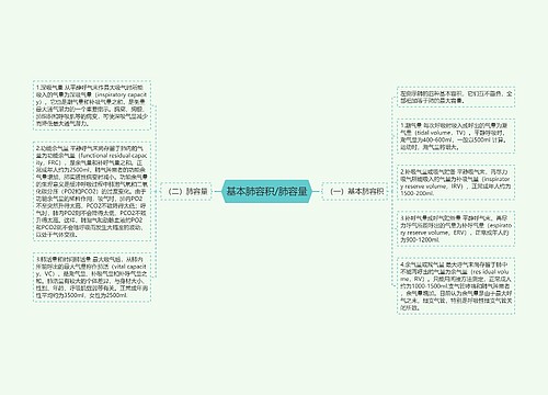 基本肺容积/肺容量