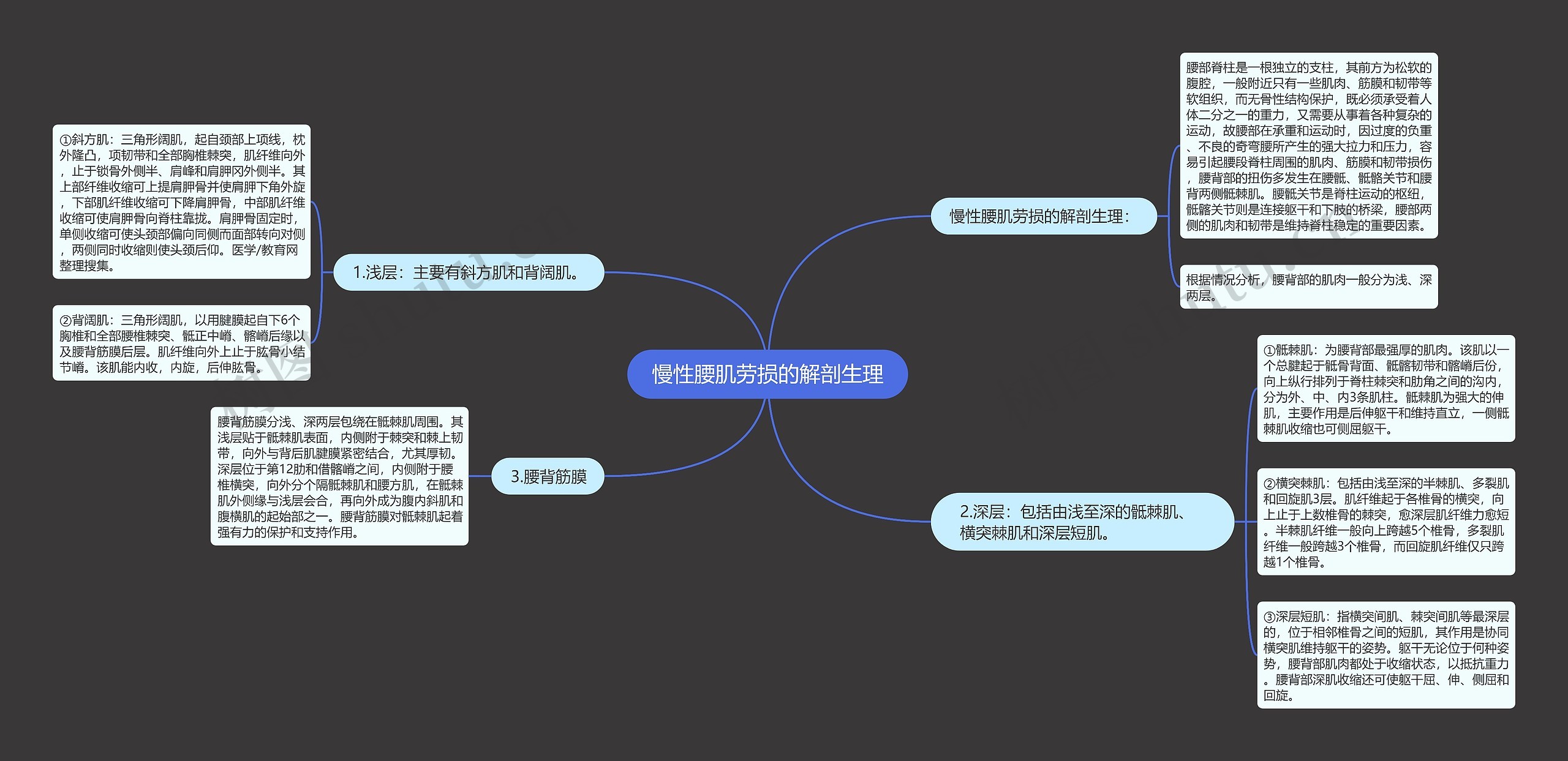 慢性腰肌劳损的解剖生理思维导图