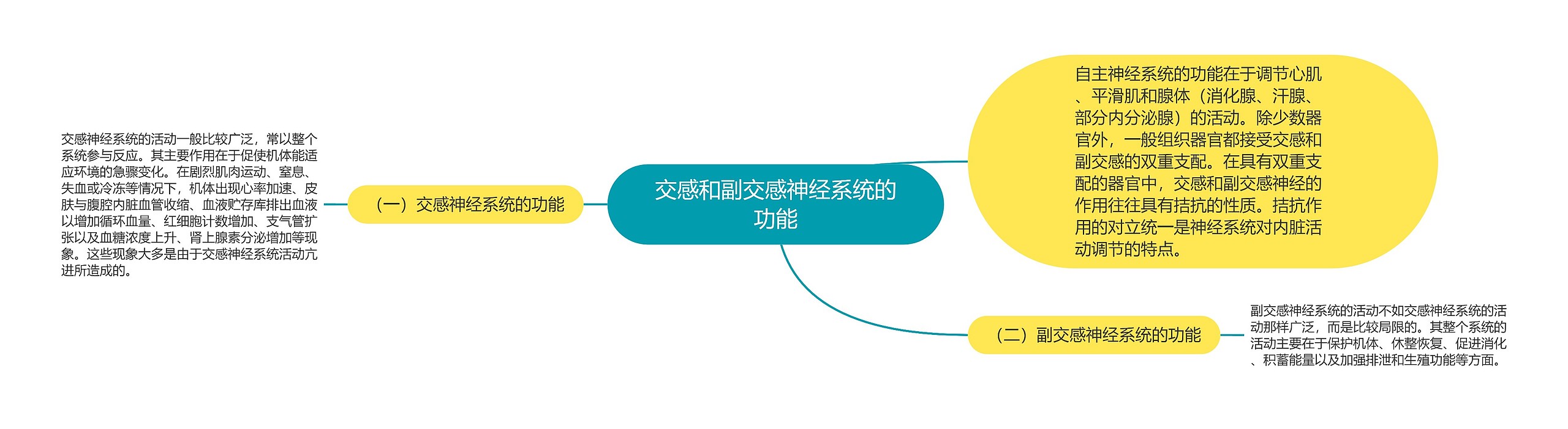交感和副交感神经系统的功能 交感和副交感神经系统的功能