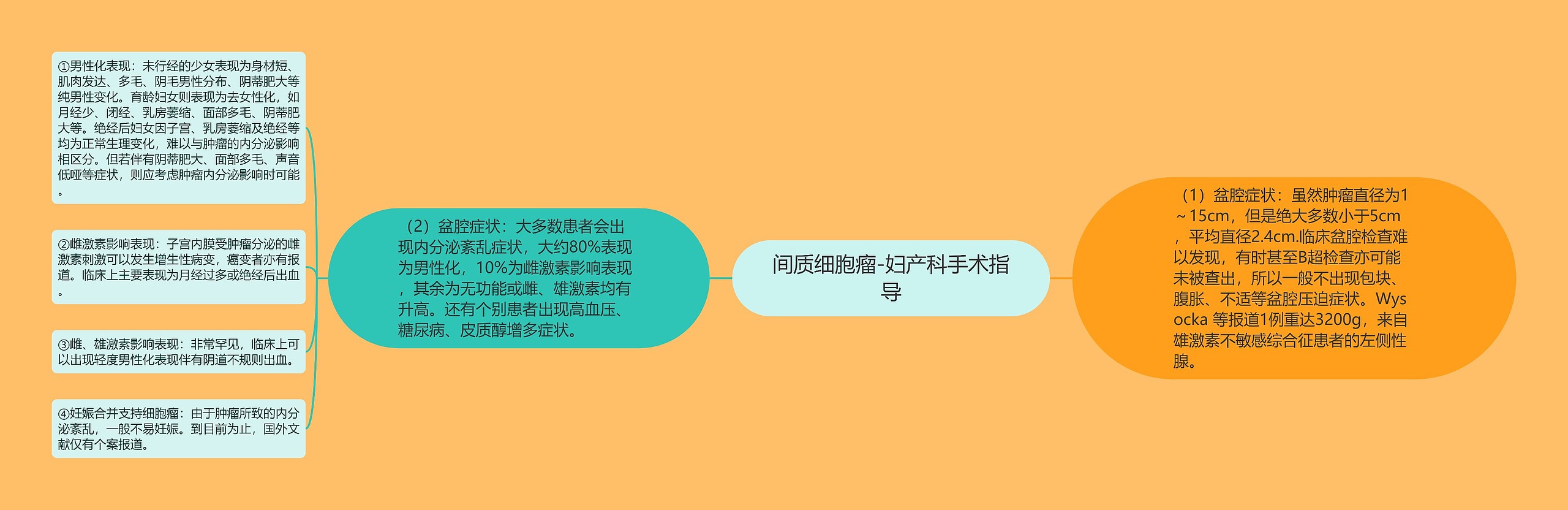 间质细胞瘤-妇产科手术指导