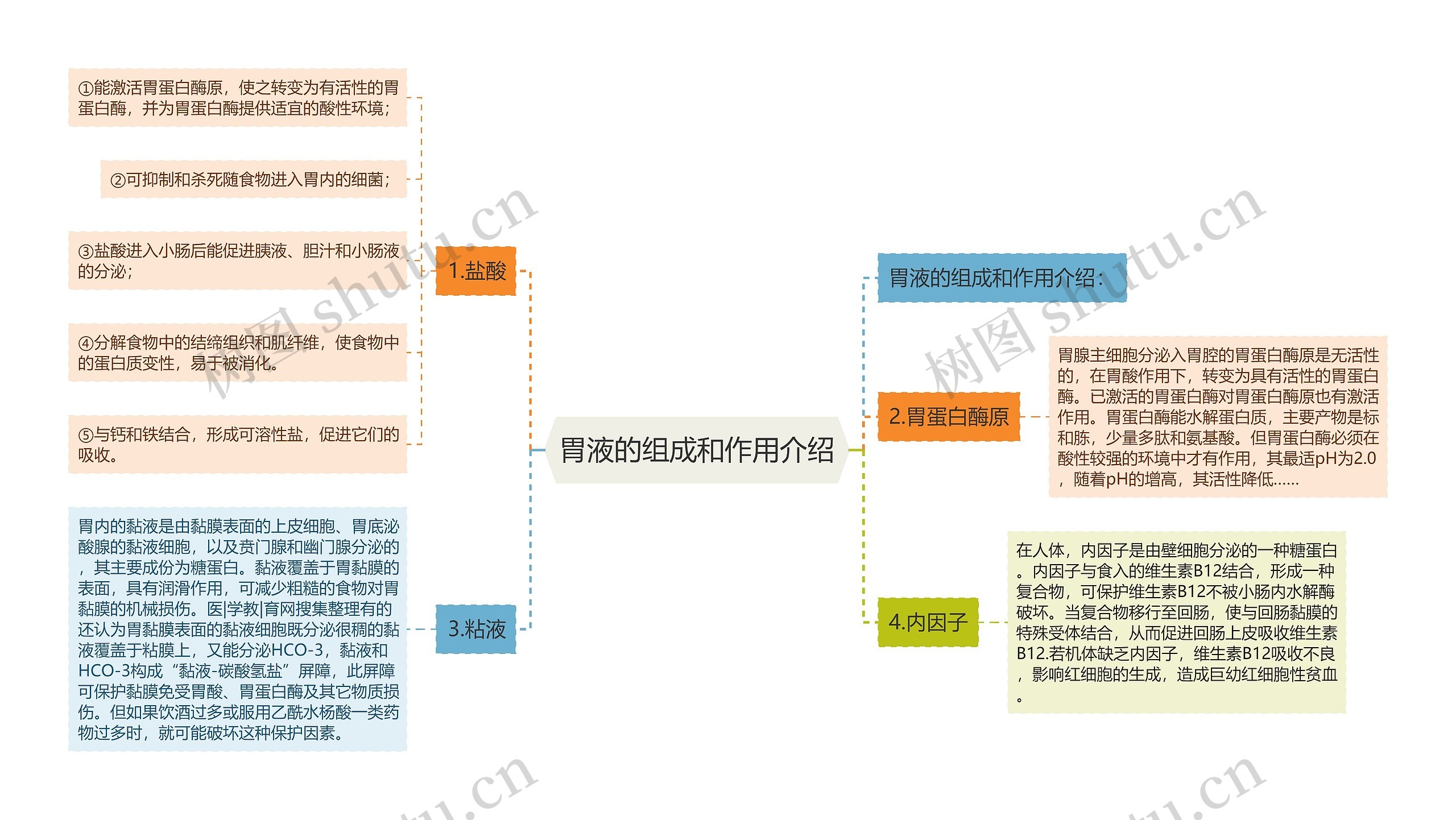 胃液的组成和作用介绍思维导图