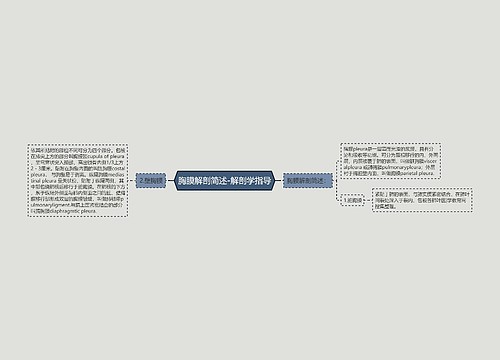 胸膜解剖简述-解剖学指导
