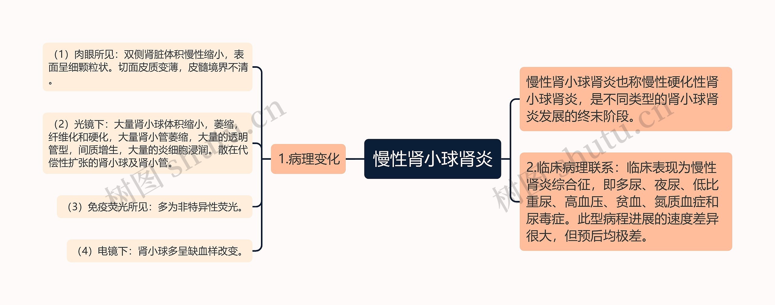 慢性肾小球肾炎思维导图