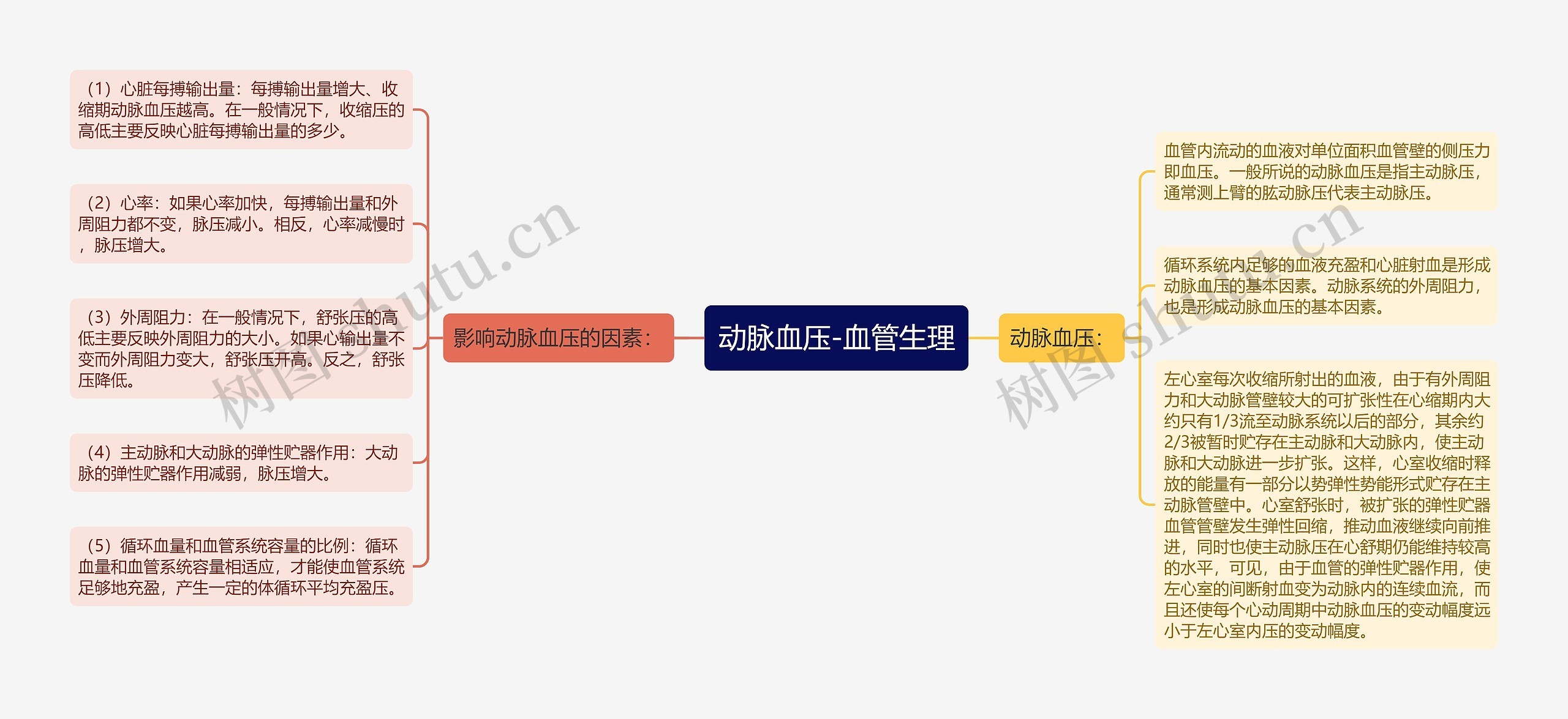 动脉血压-血管生理思维导图