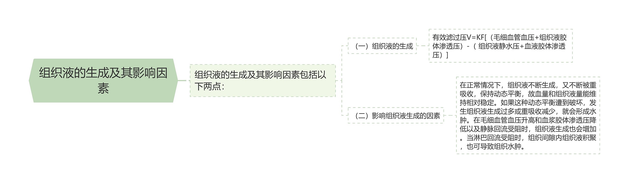 组织液的生成及其影响因素思维导图