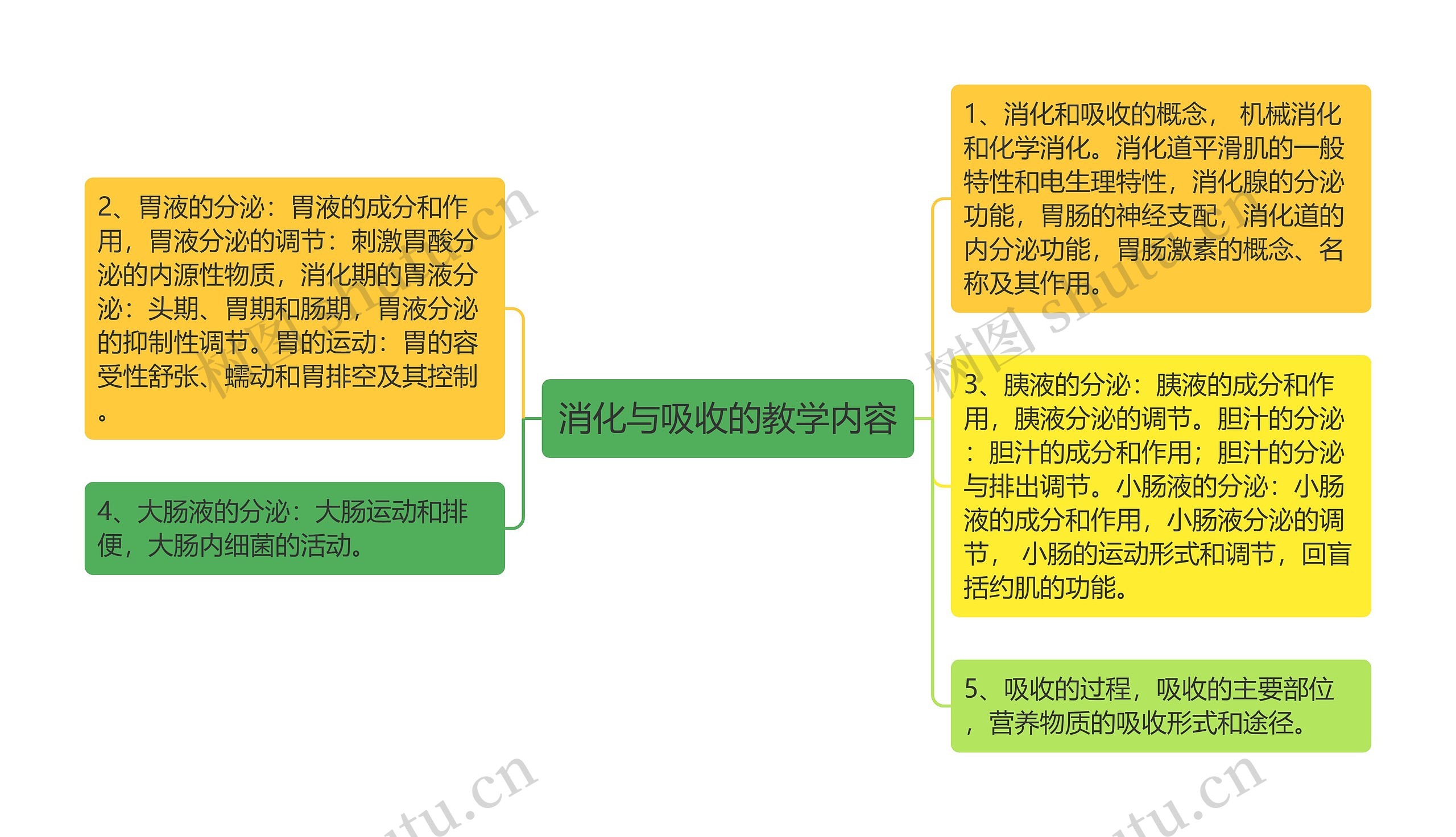 消化与吸收的教学内容