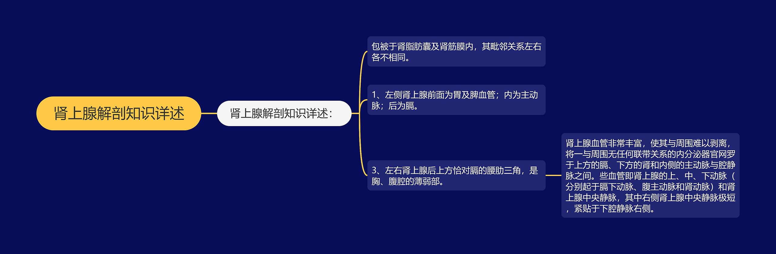 肾上腺解剖知识详述思维导图