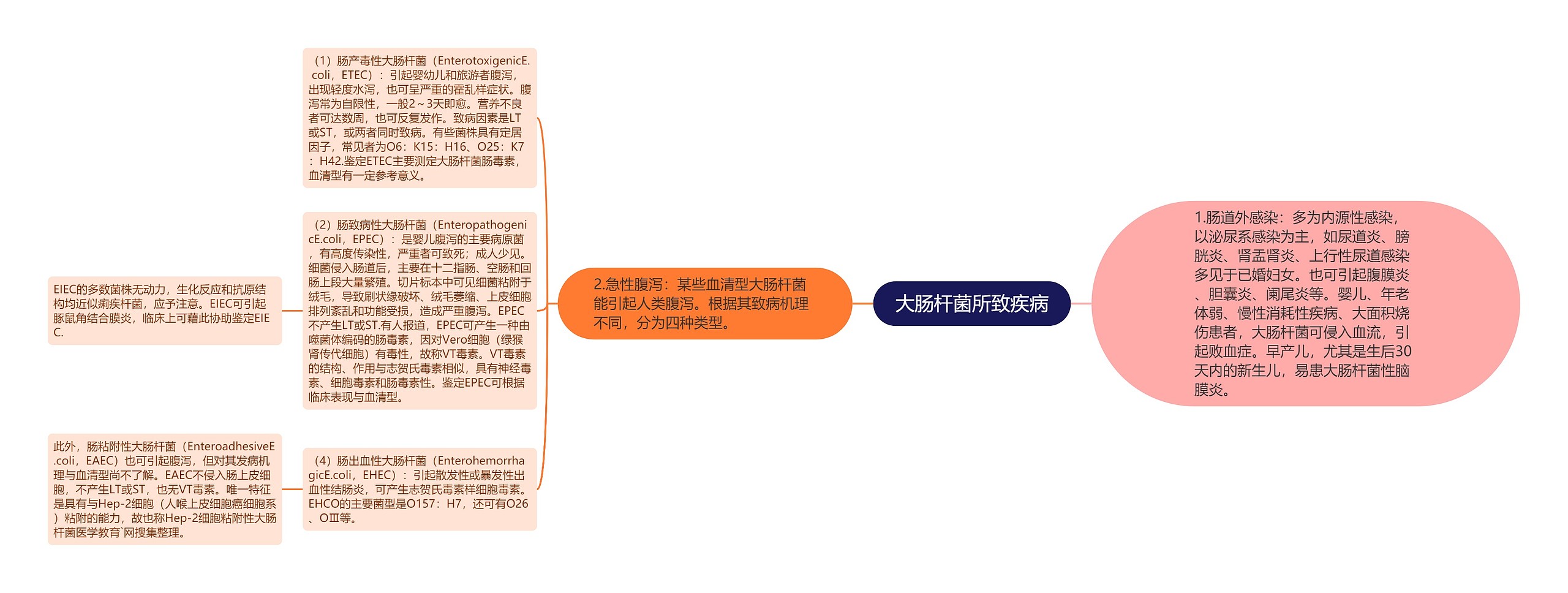 大肠杆菌所致疾病 大肠杆菌所致疾病