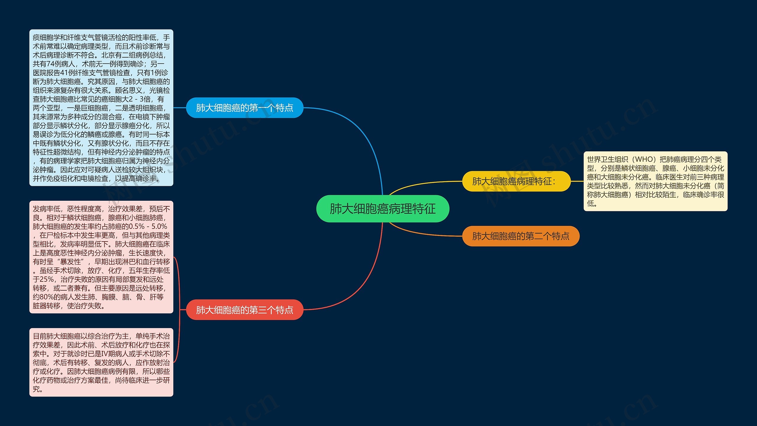 肺大细胞癌病理特征思维导图