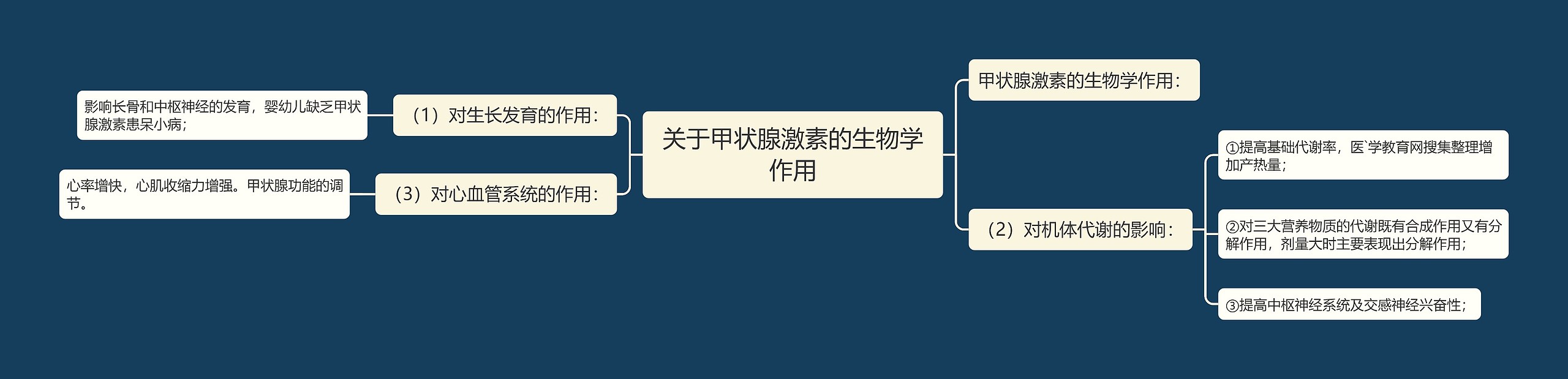 关于甲状腺激素的生物学作用 关于甲状腺激素的生物学作用