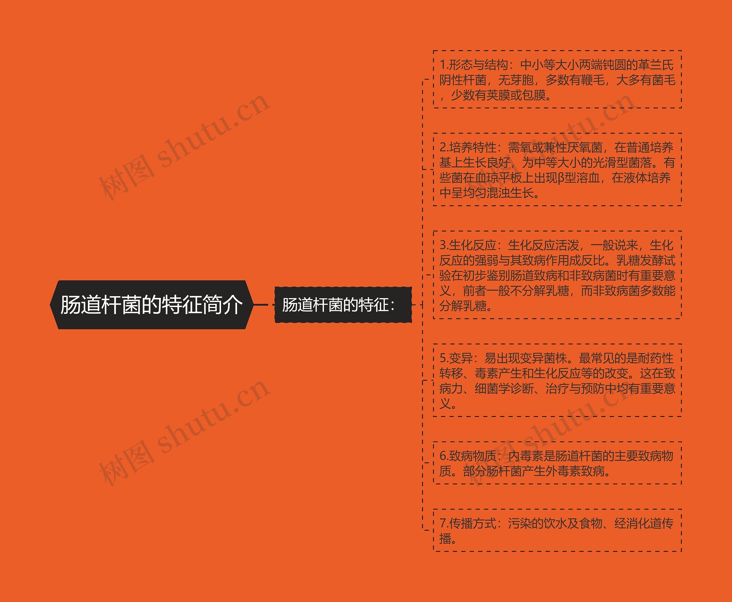 肠道杆菌的特征简介 肠道杆菌的特征简介