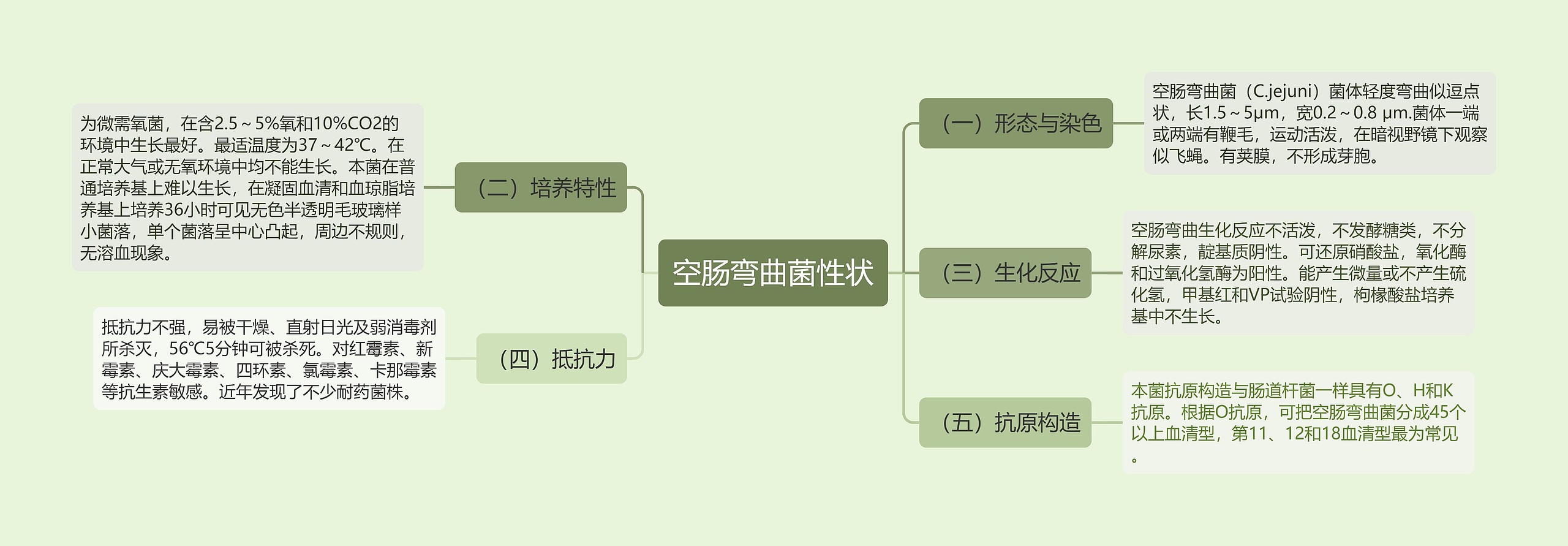 空肠弯曲菌性状