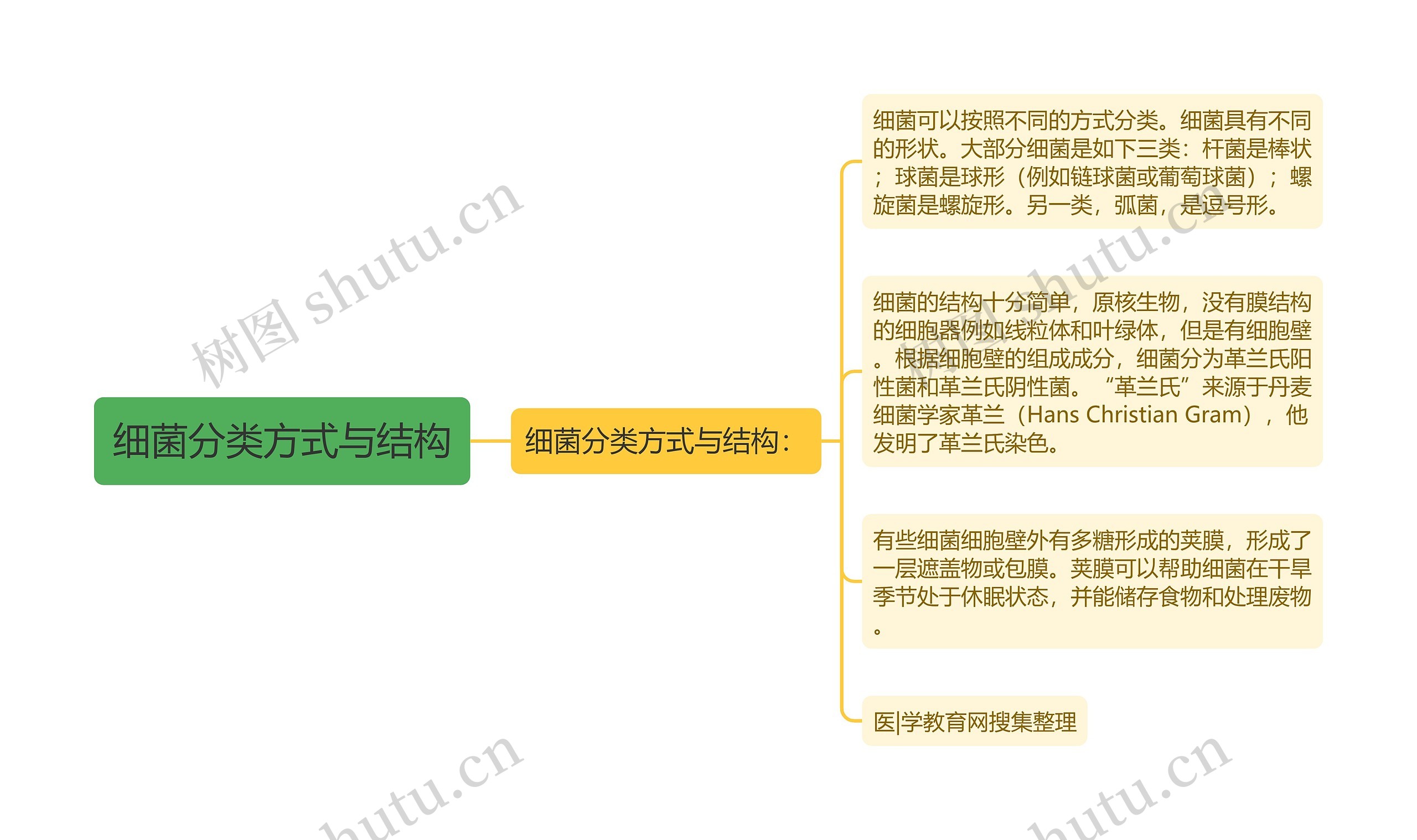 细菌分类方式与结构 细菌分类方式与结构