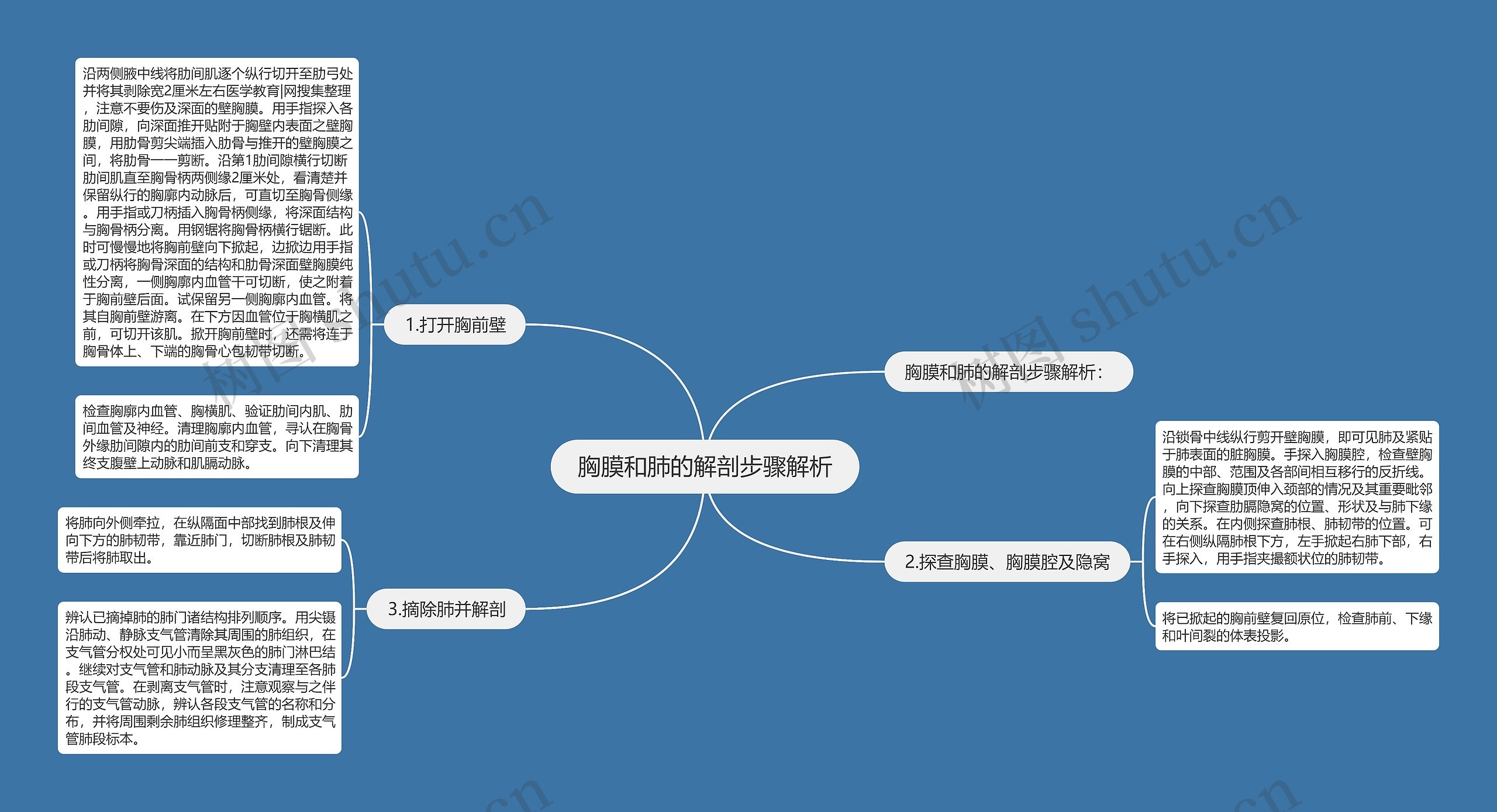胸膜和肺的解剖步骤解析 胸膜和肺的解剖步骤解析