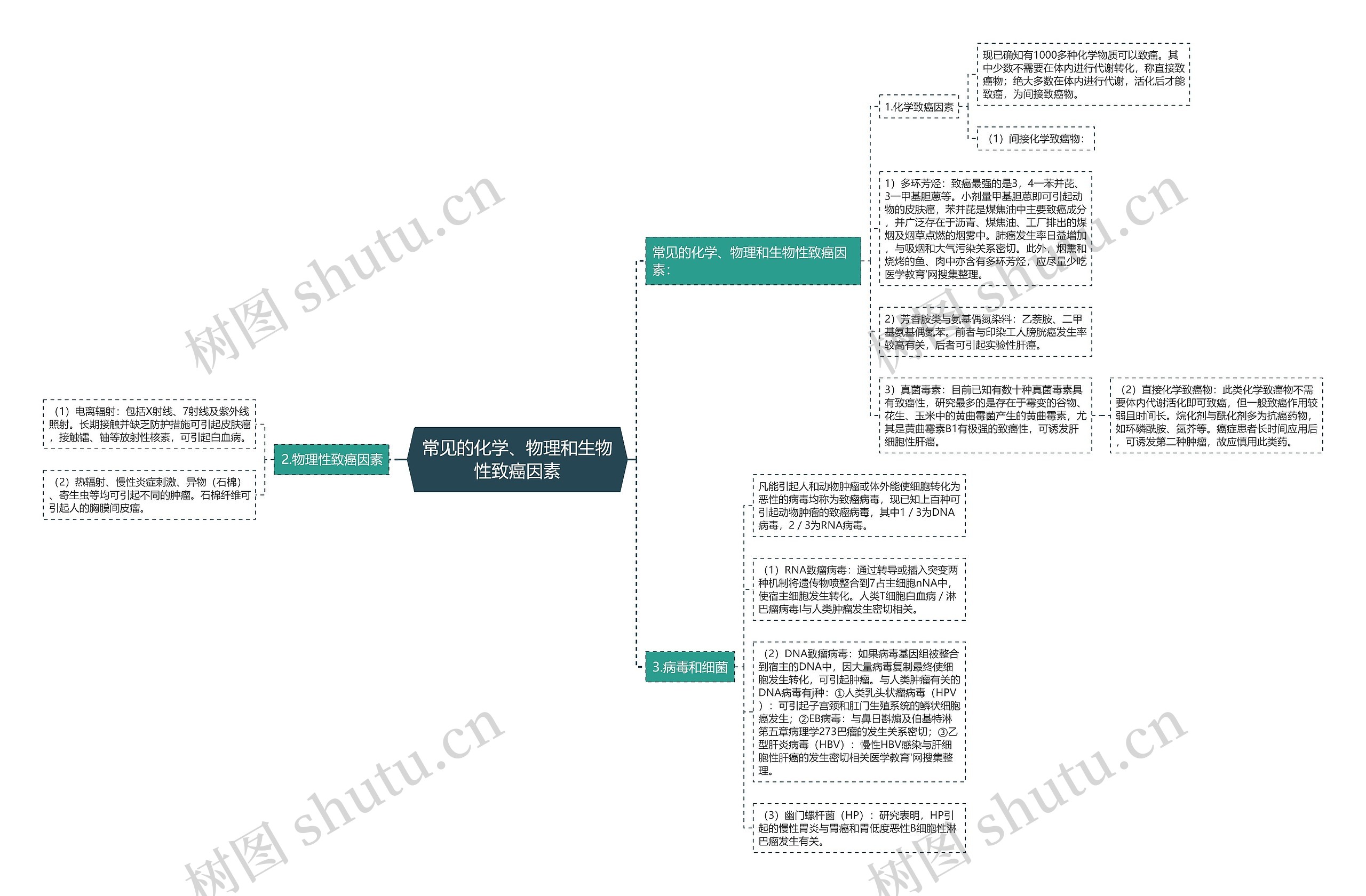 常见的化学、物理和生物性致癌因素思维导图