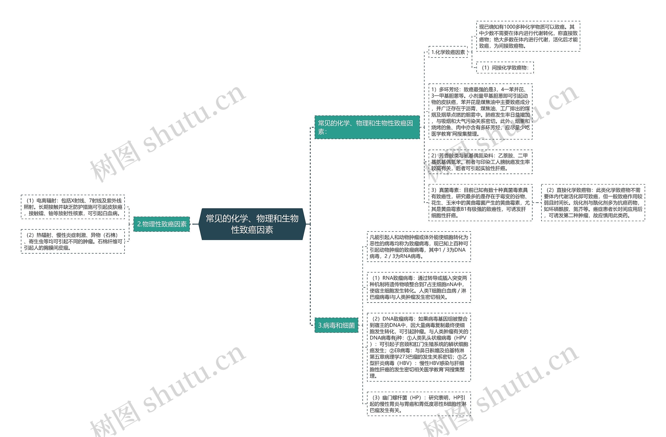 常见的化学、物理和生物性致癌因素 常见的化学、物理和生物性致癌因素