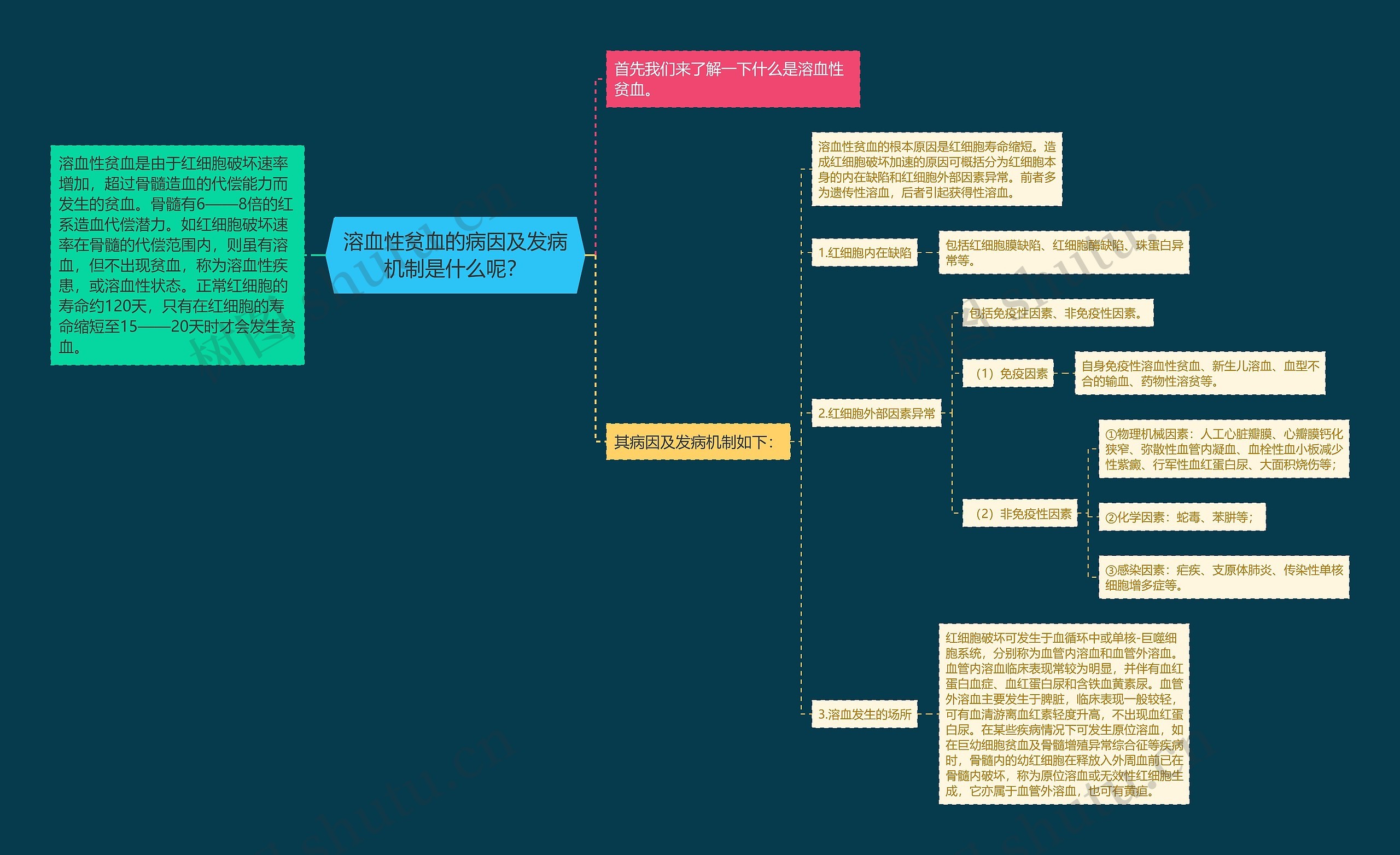 溶血性贫血的病因及发病机制是什么呢？思维导图