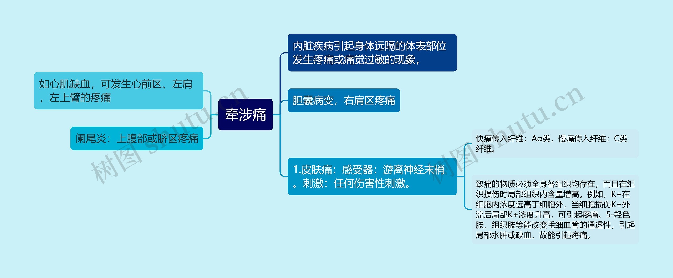 牵涉痛思维导图