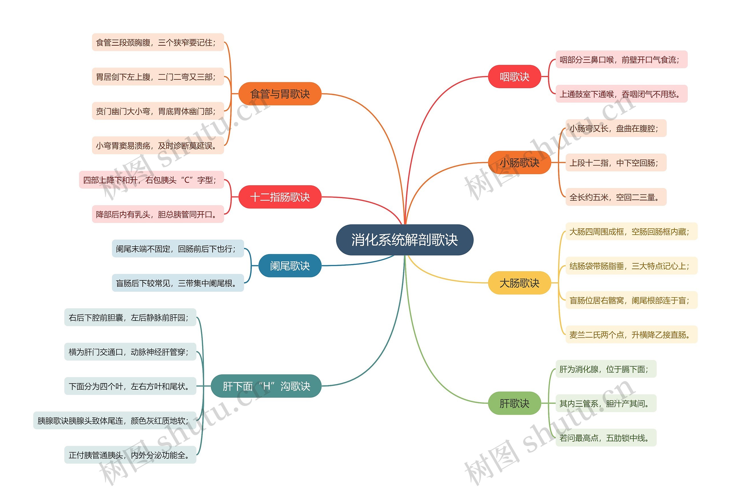 消化系统解剖歌诀思维导图