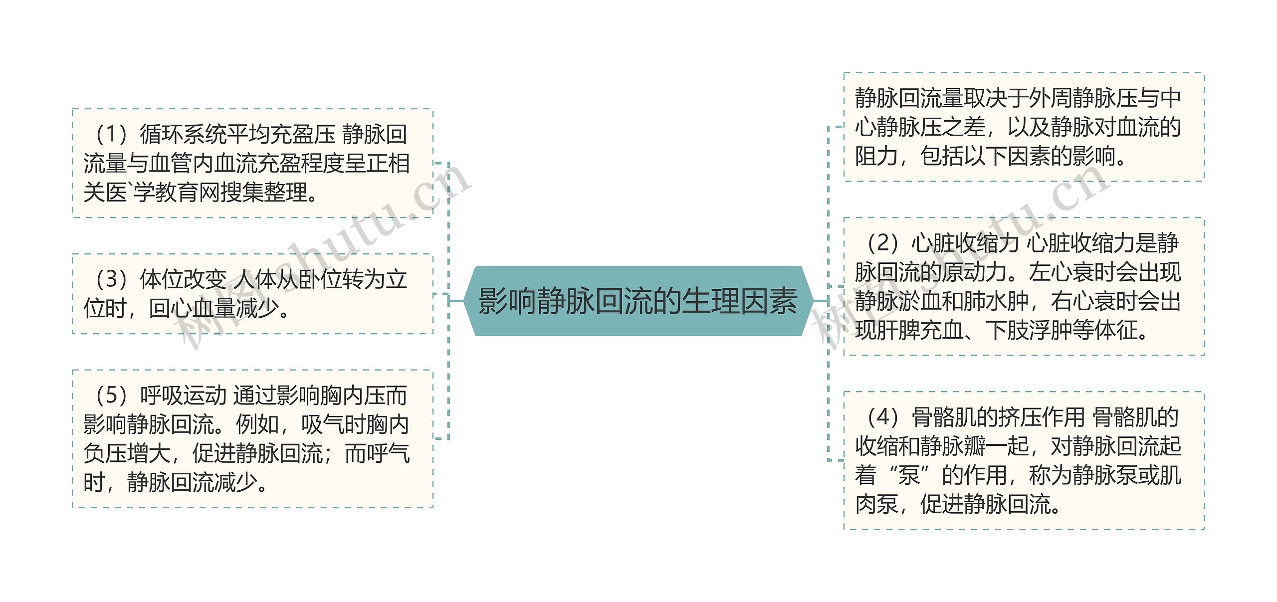 影响静脉回流的生理因素思维导图