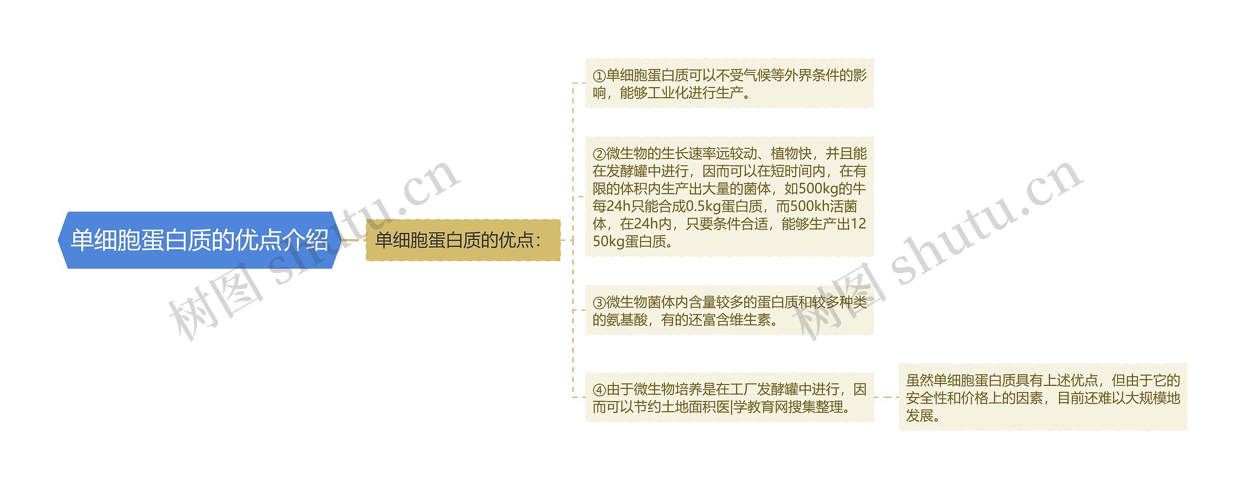 单细胞蛋白质的优点介绍 单细胞蛋白质的优点介绍