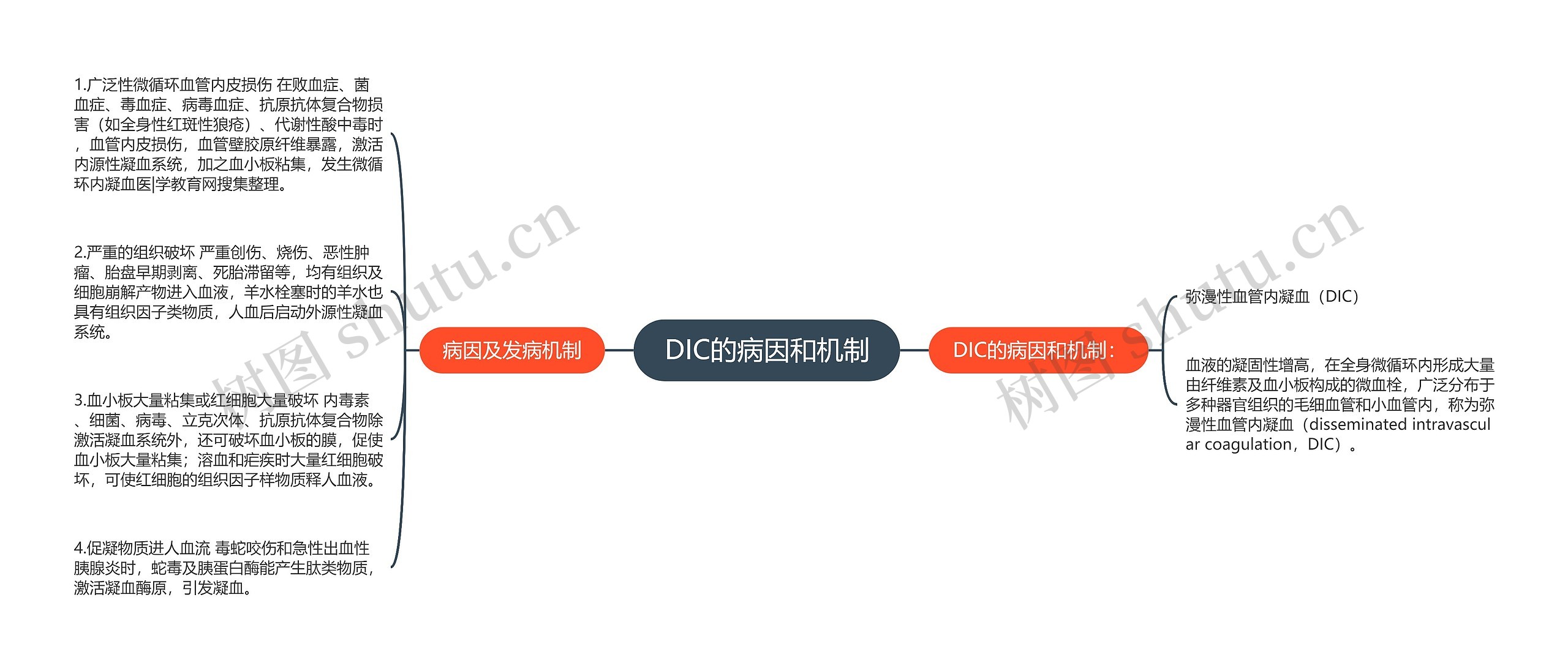 DIC的病因和机制思维导图