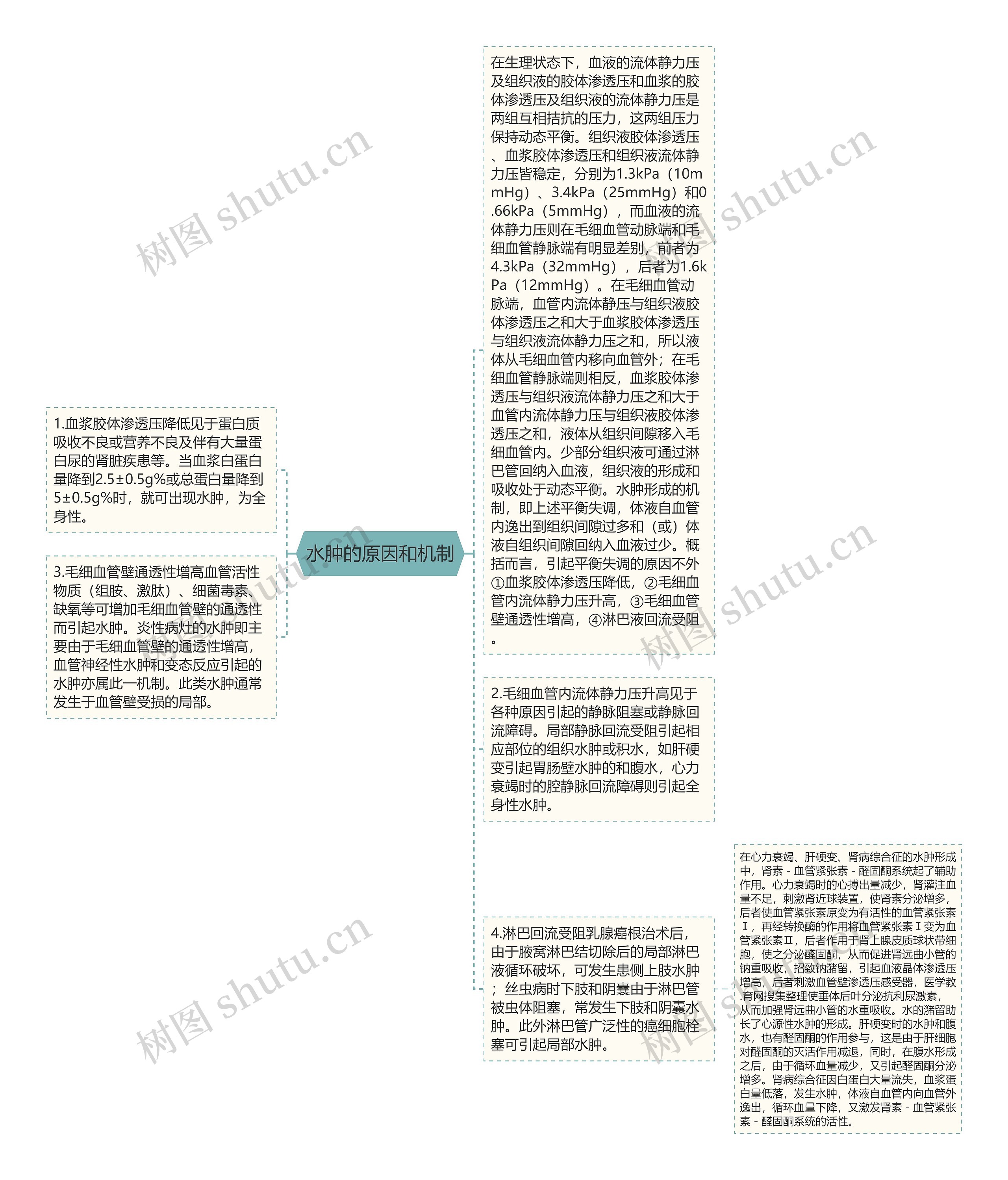 水肿的原因和机制思维导图