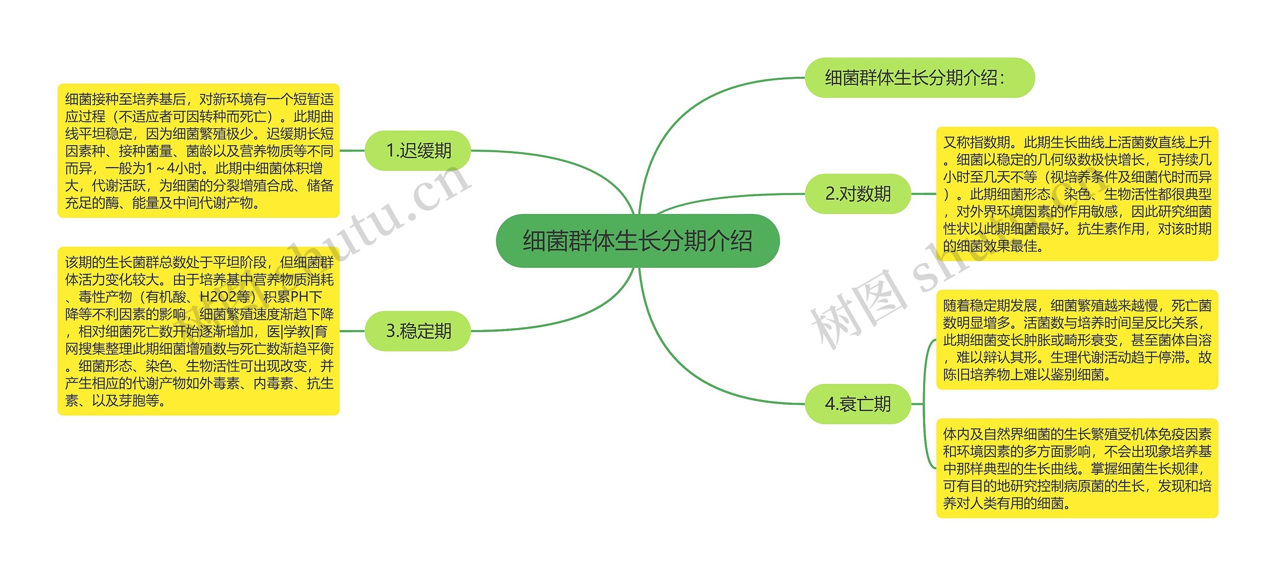 细菌群体生长分期介绍思维导图