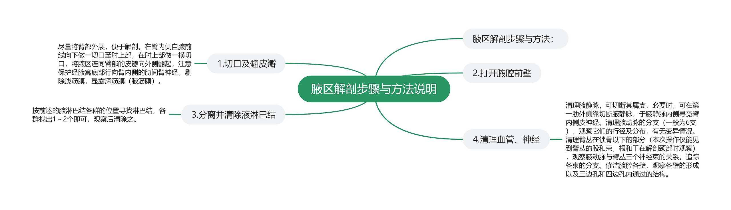腋区解剖步骤与方法说明 腋区解剖步骤与方法说明