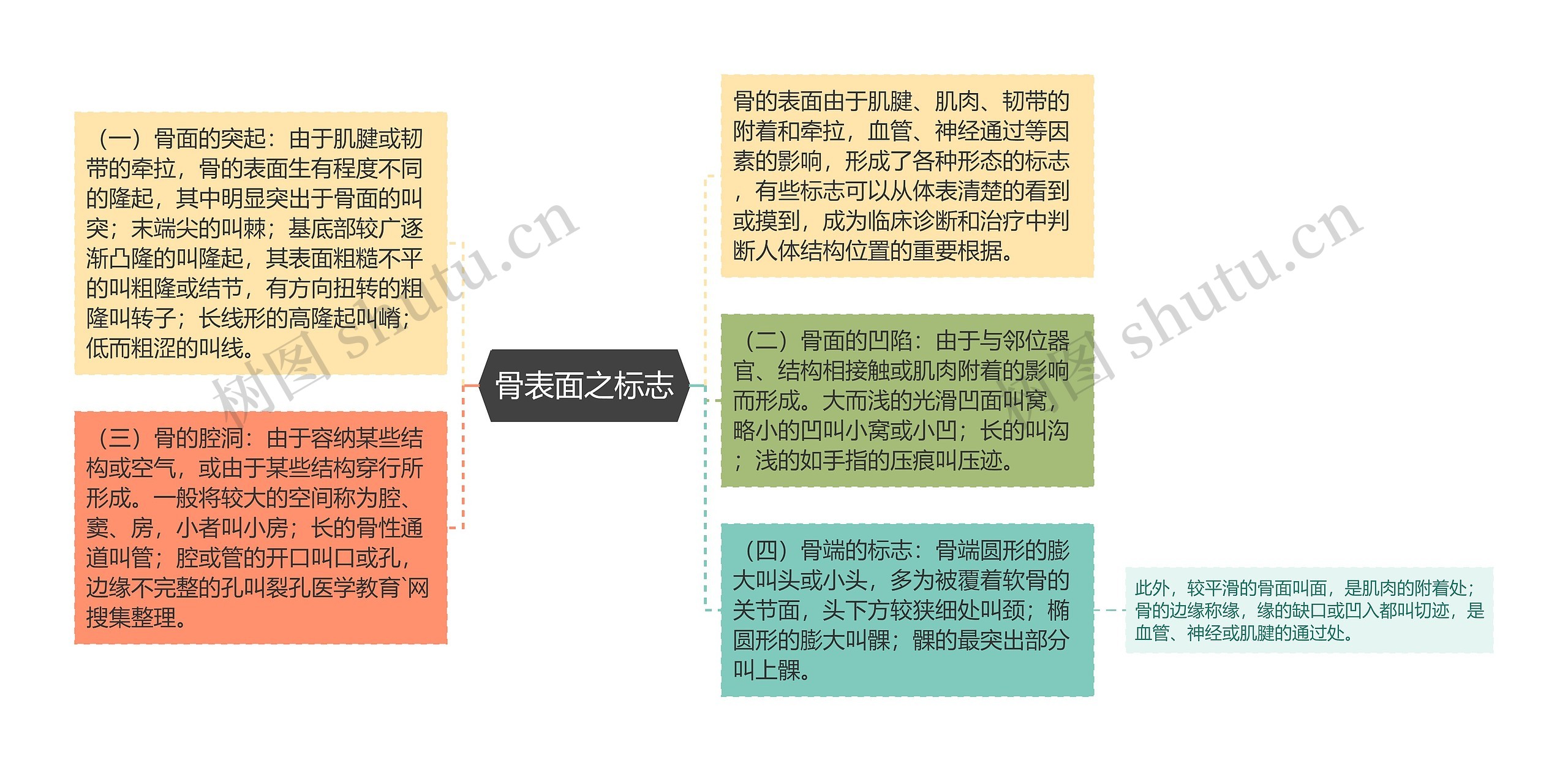 骨表面之标志思维导图