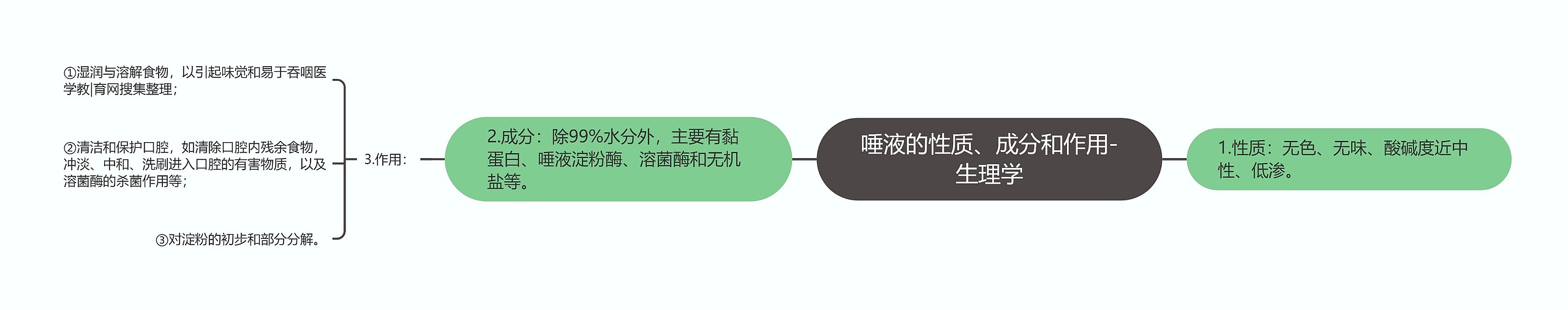 唾液的性质、成分和作用-生理学思维导图