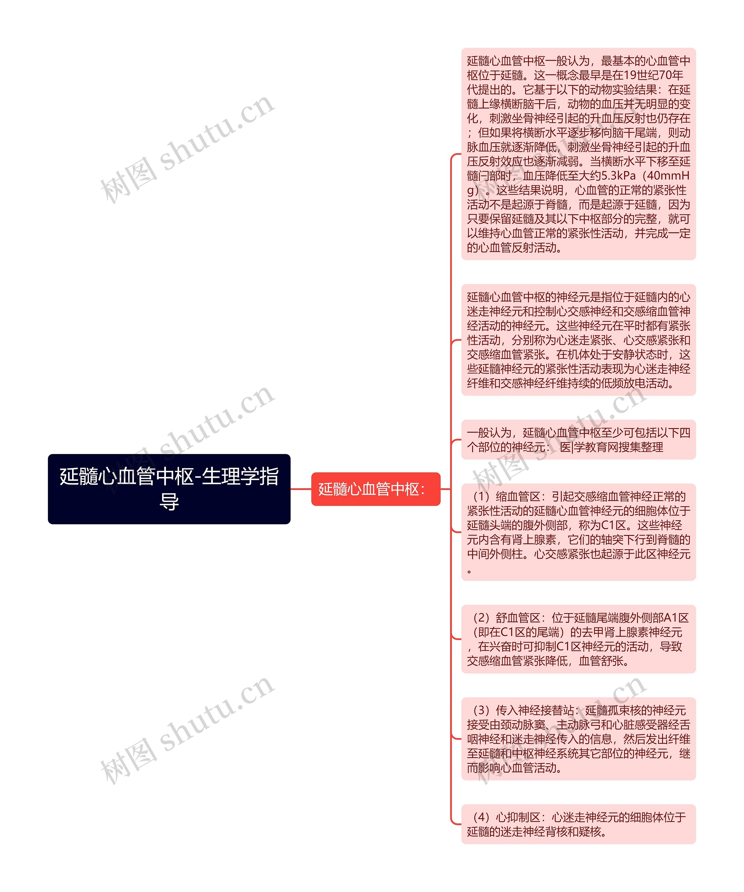 延髓心血管中枢-生理学指导思维导图