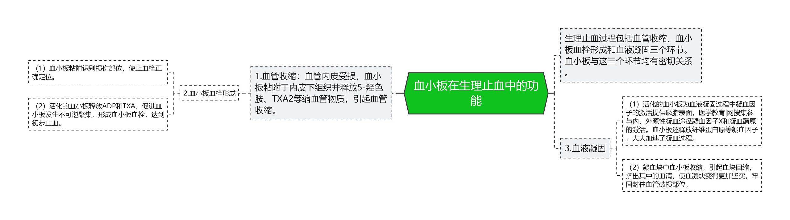 血小板在生理止血中的功能思维导图