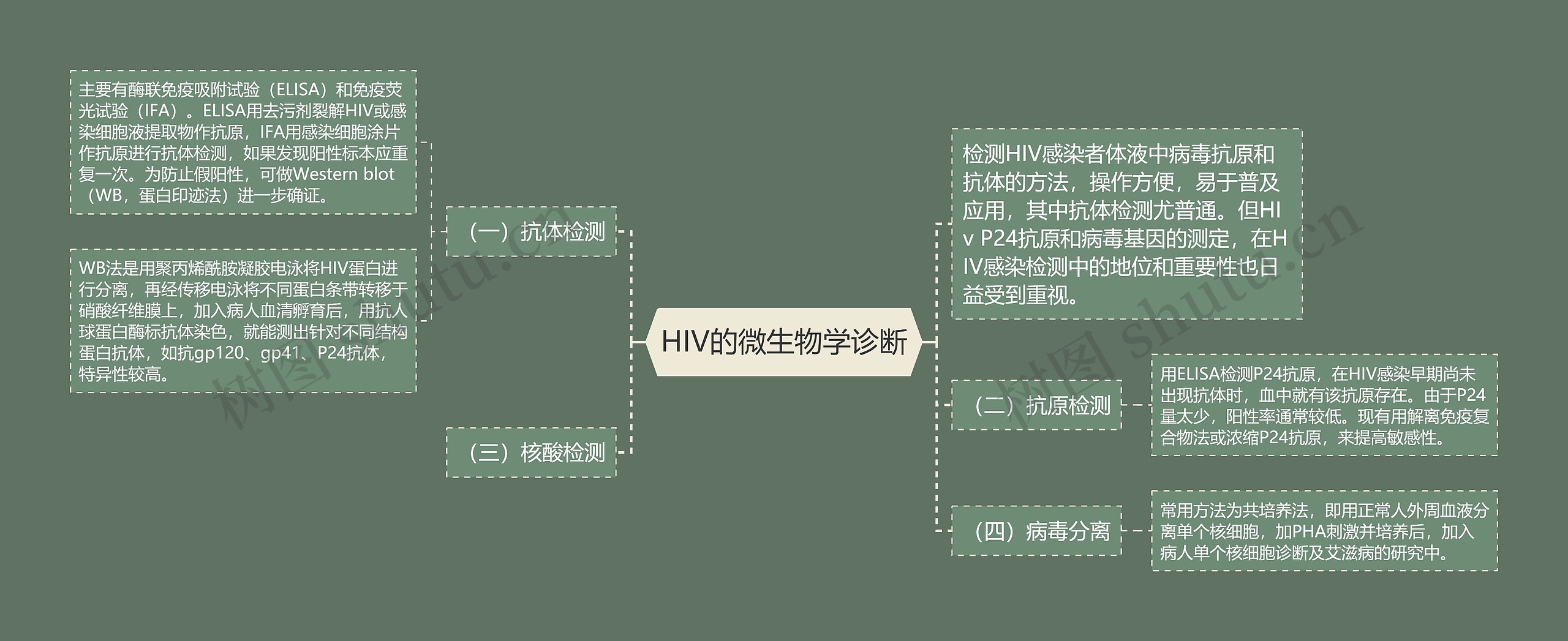 HIV的微生物学诊断思维导图