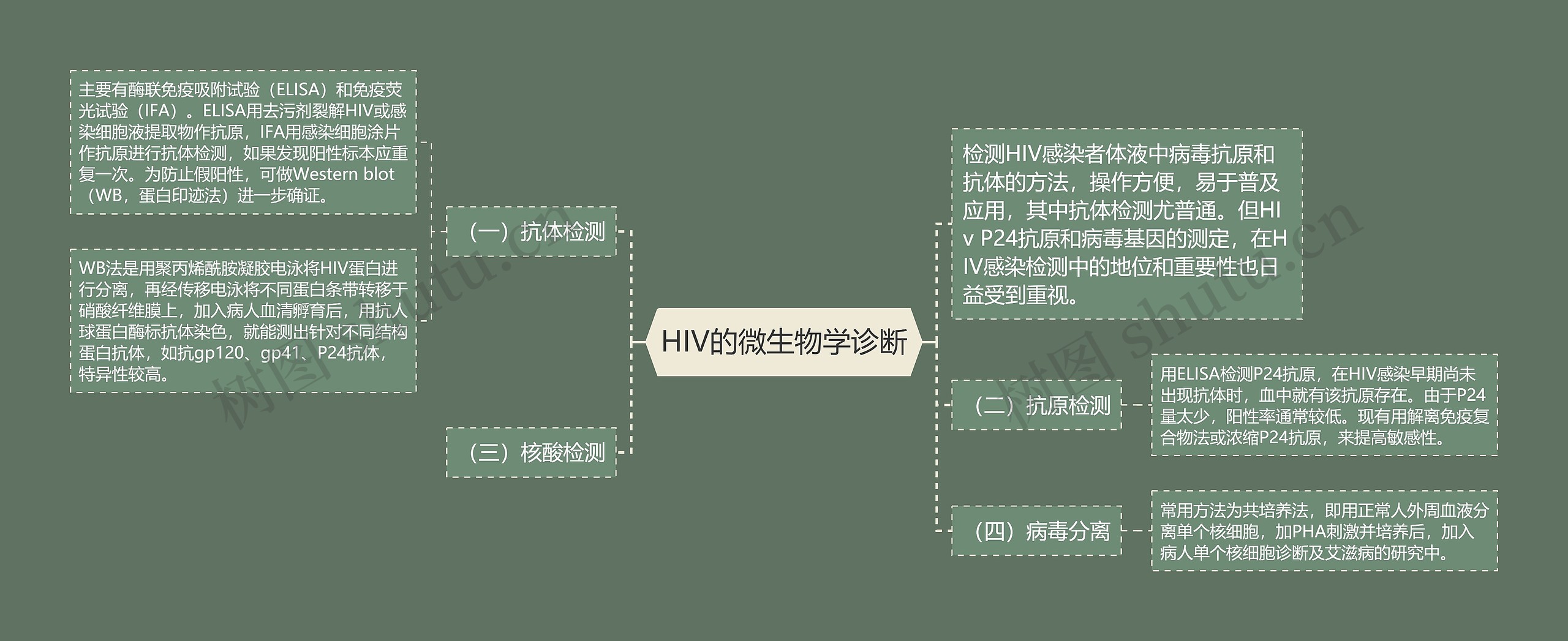 HIV的微生物学诊断