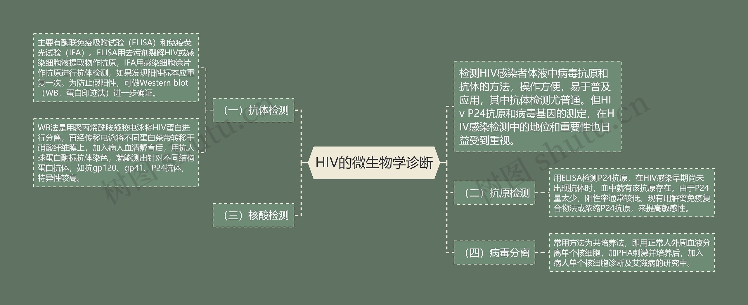 HIV的微生物学诊断 HIV的微生物学诊断