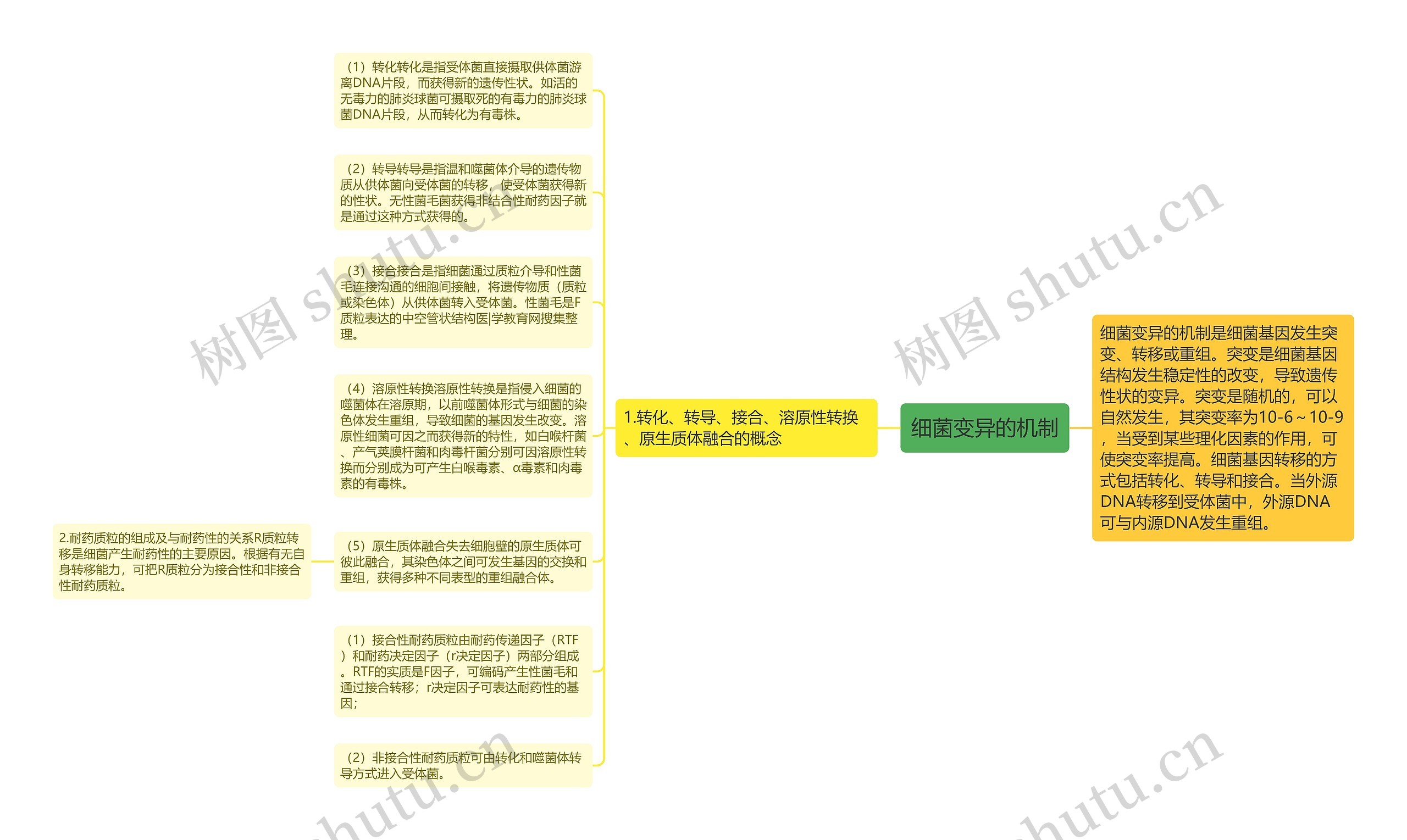 细菌变异的机制