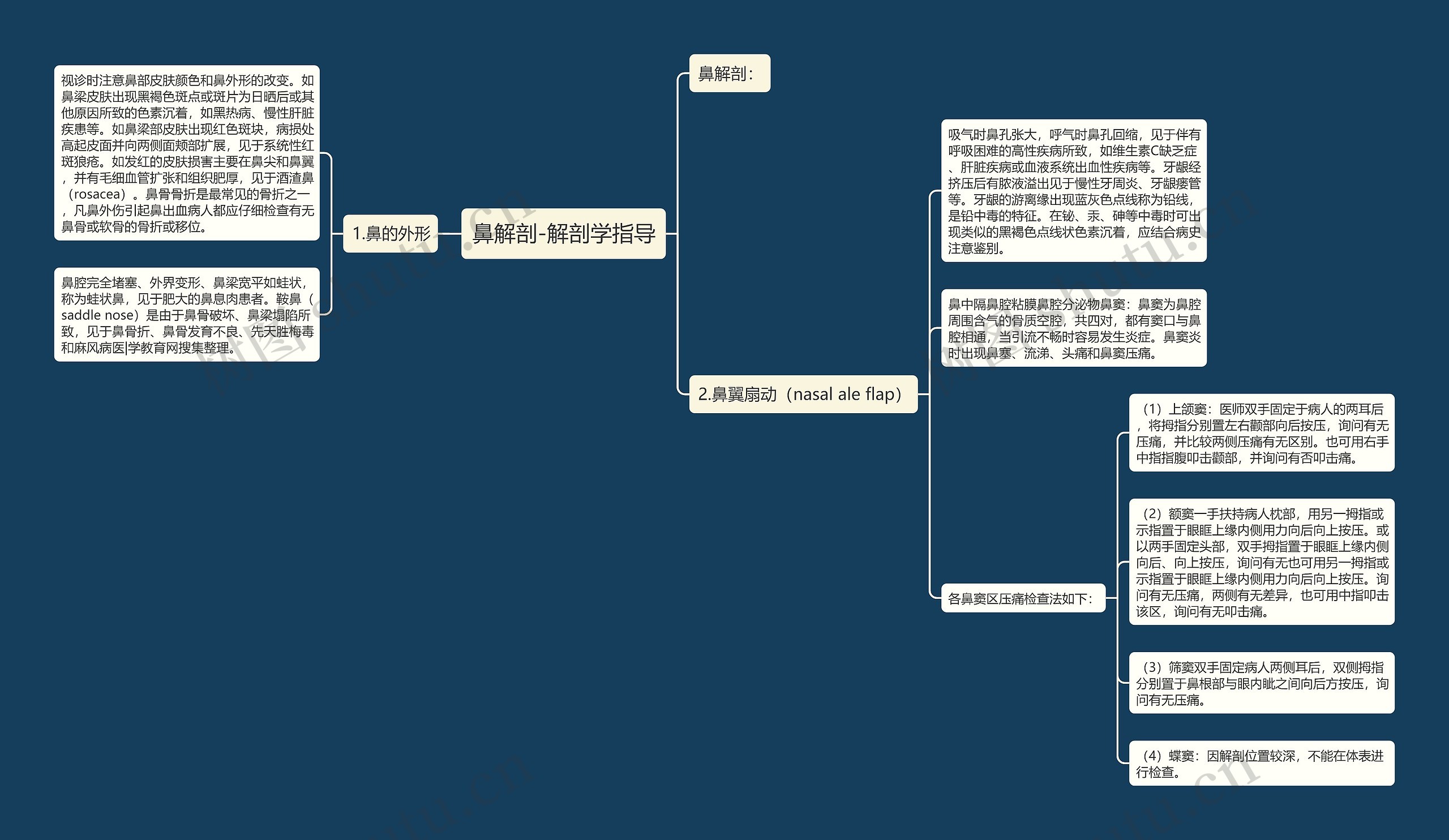 鼻解剖-解剖学指导思维导图高清图 鼻解剖-解剖学指导思维导图