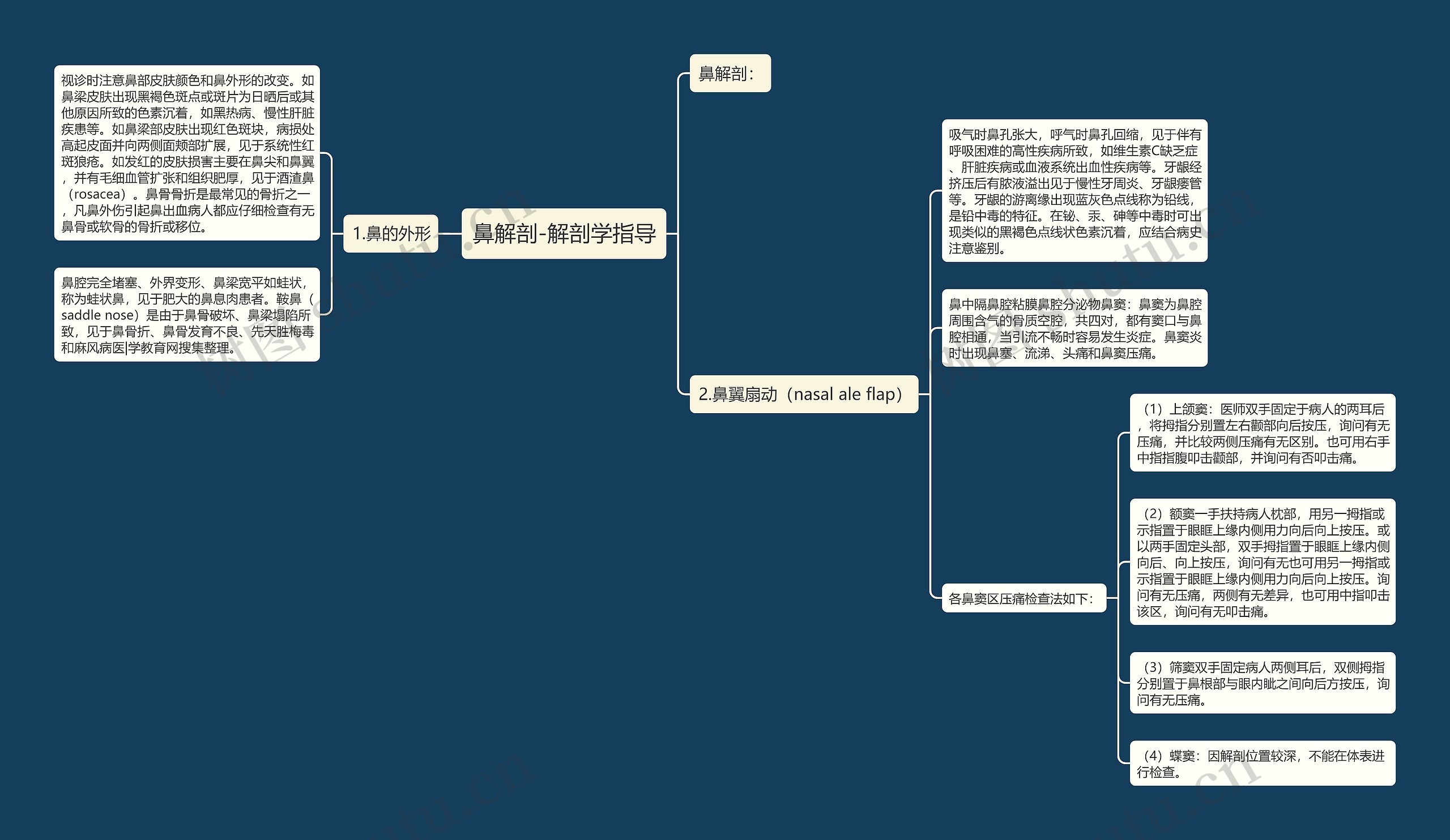 鼻解剖-解剖学指导思维导图