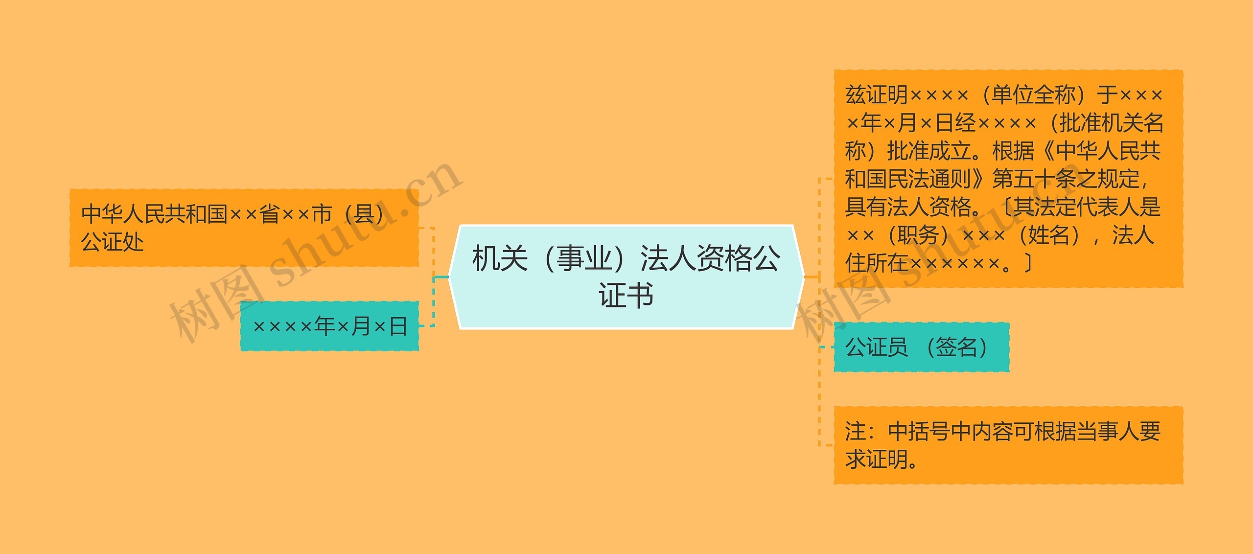 机关（事业）法人资格公证书