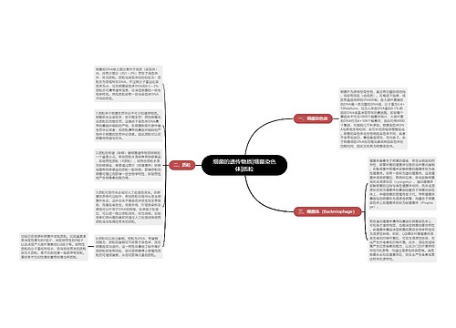 细菌的遗传物质|细菌染色体|质粒