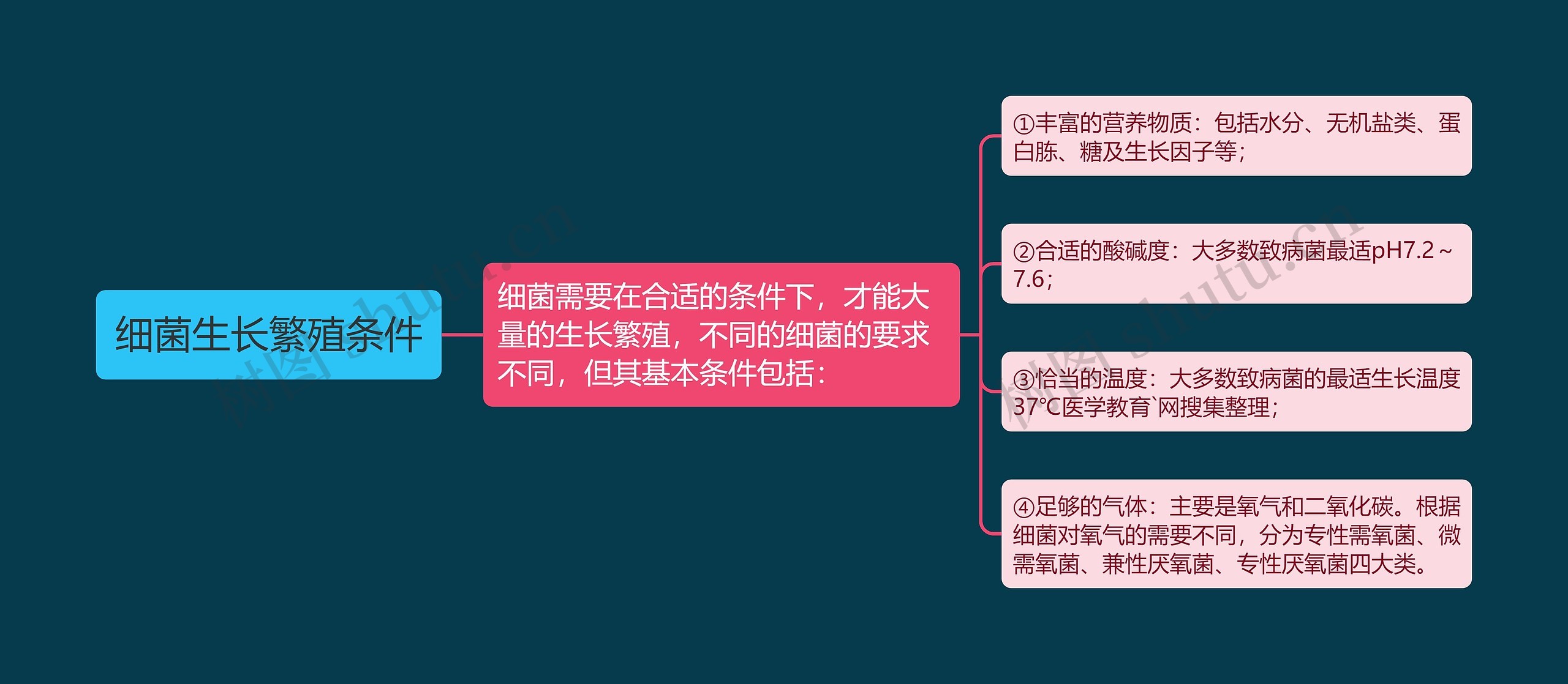 细菌生长繁殖条件思维导图