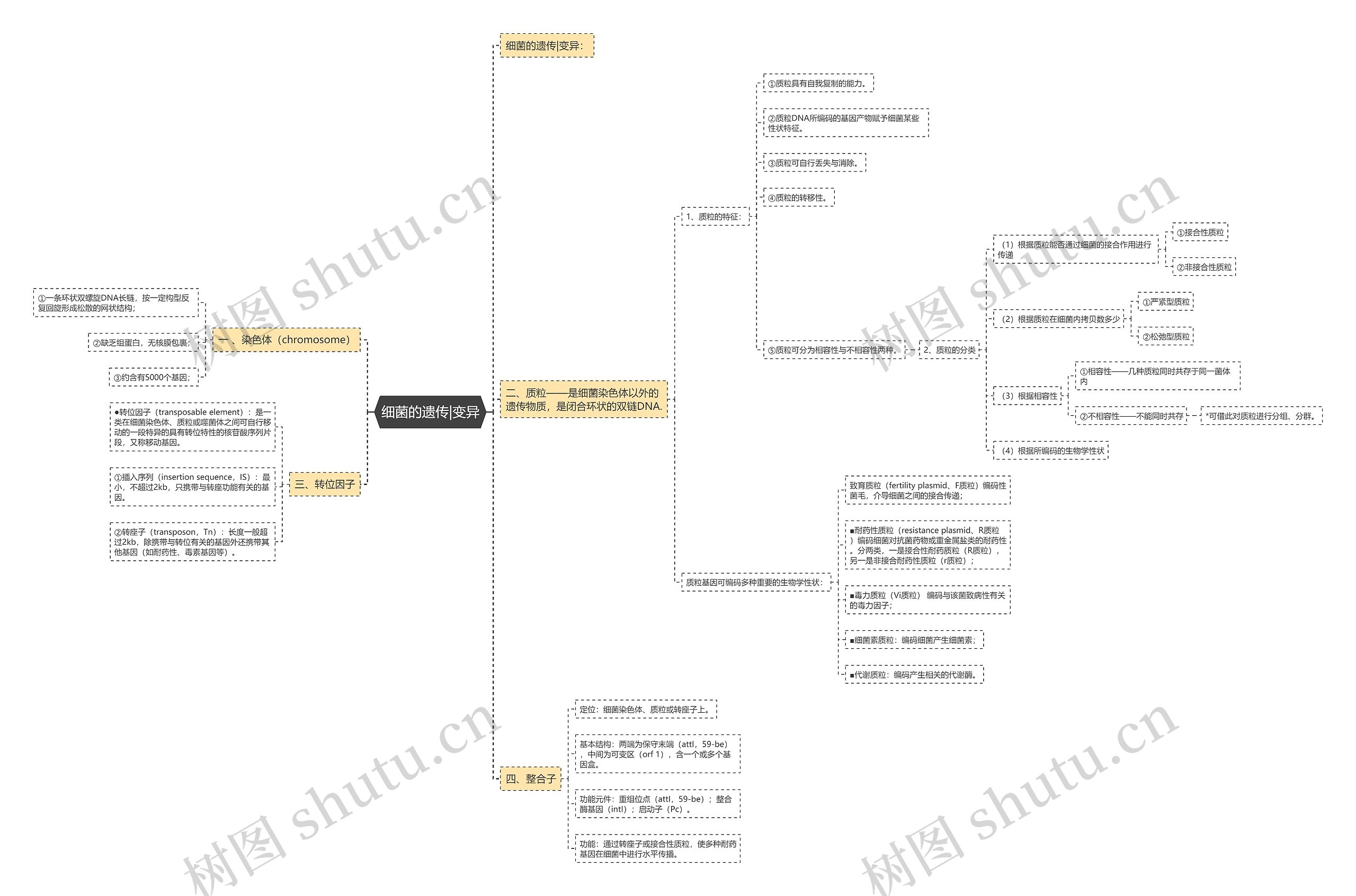 细菌的遗传|变异 细菌的遗传|变异