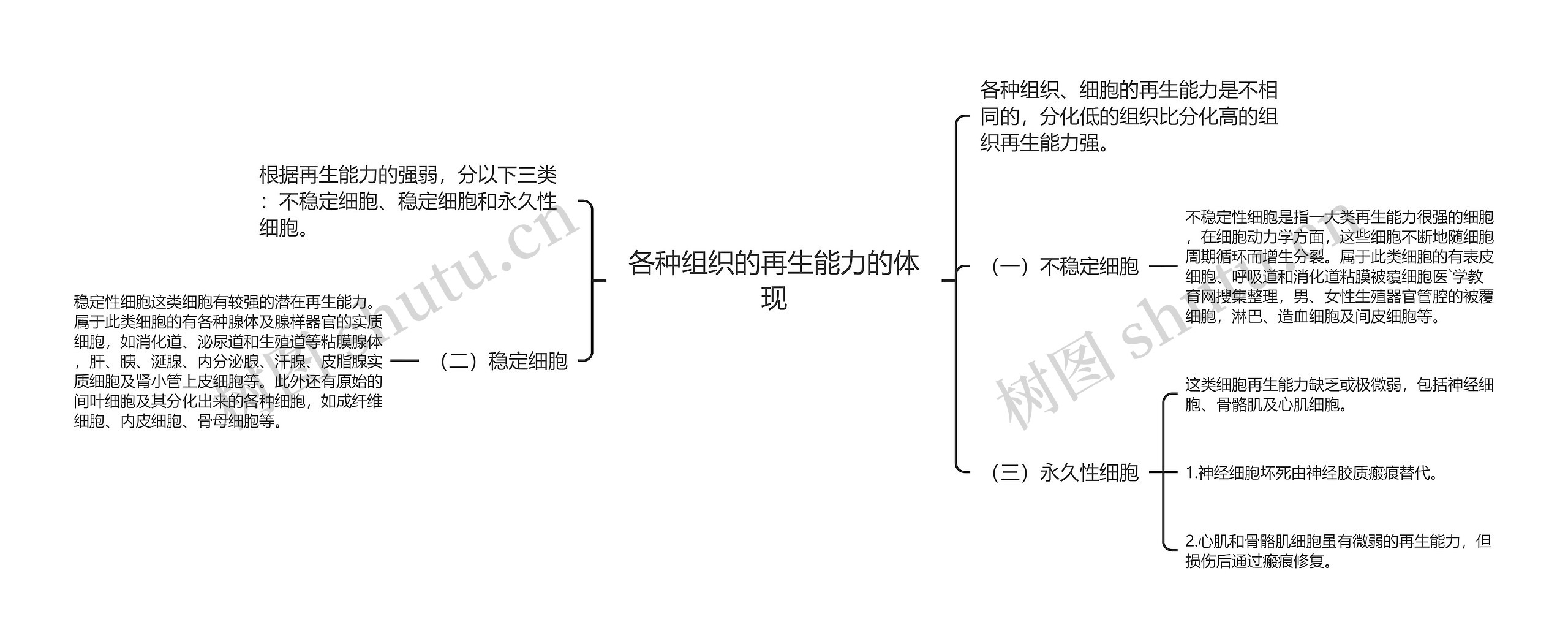 各种组织的再生能力的体现思维导图