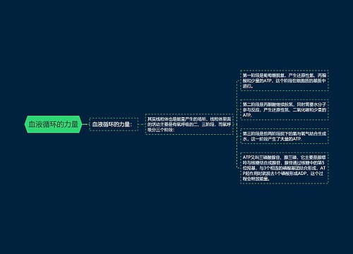 血液循环的力量