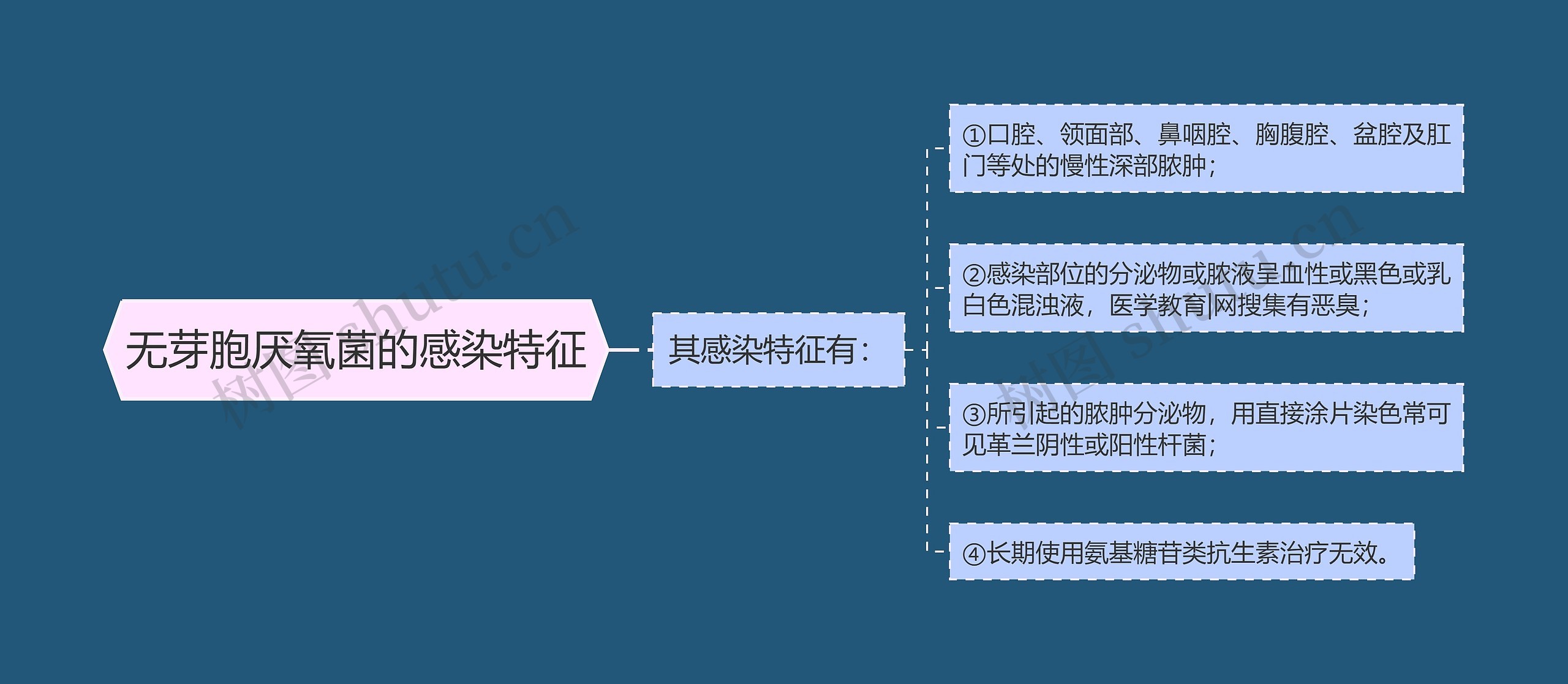 无芽胞厌氧菌的感染特征思维导图